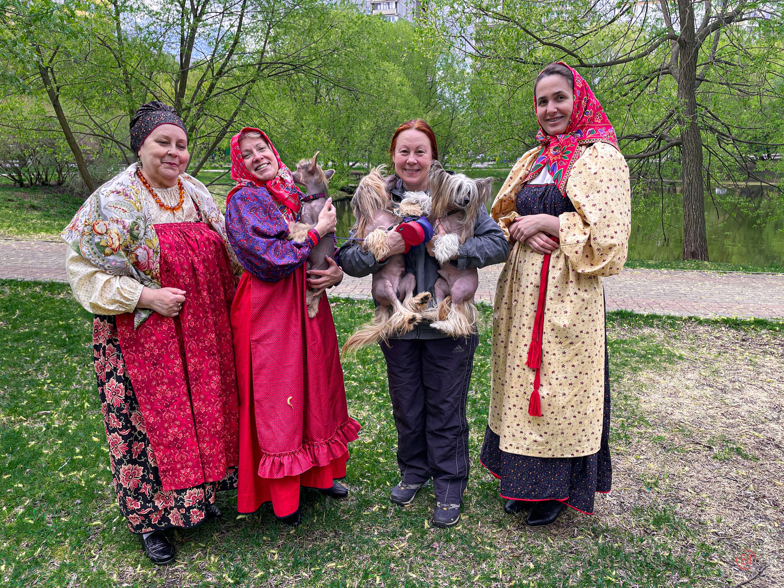 We were stopped on our walk!. Poale Ell Chinese Crested Dog Kennel: Buy a puppy from the kennel