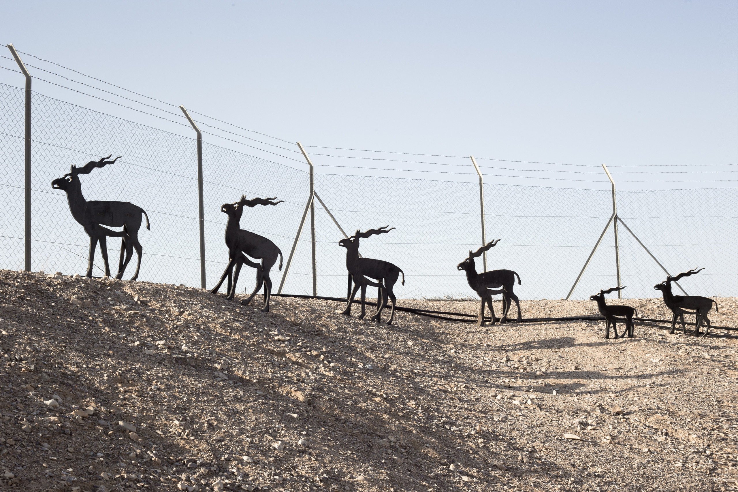 The Vow (Israel). Alexander Zorin