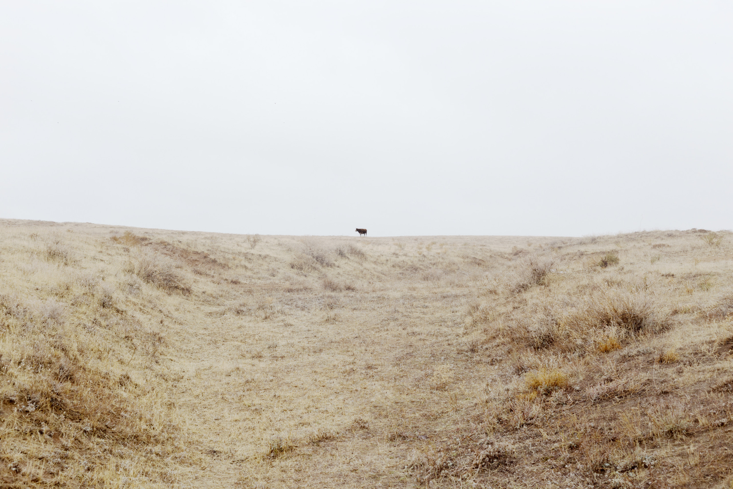 Dead lake (Baskunchak). Alexander Zorin