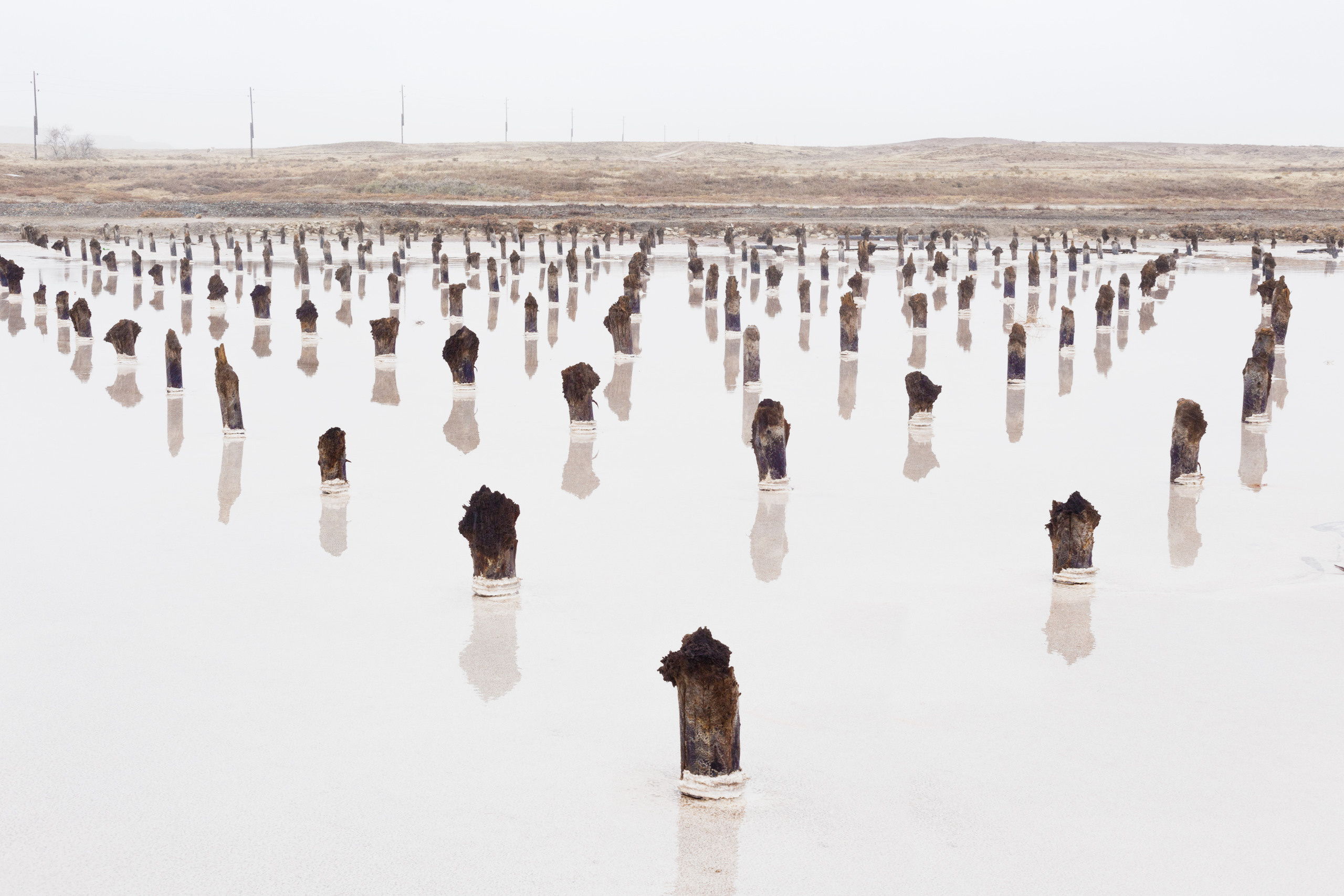 Dead lake (Baskunchak). Alexander Zorin