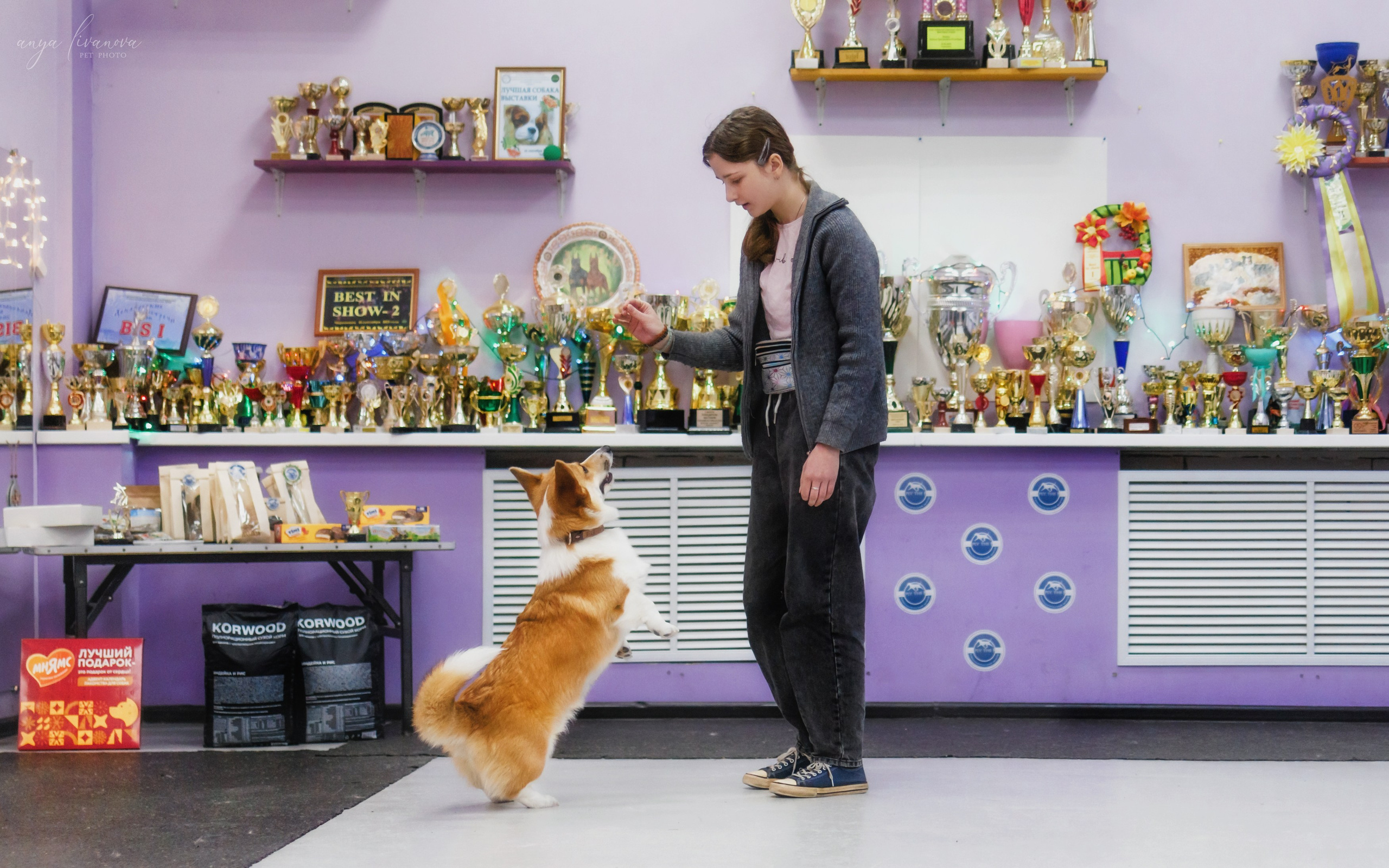 НГ конкурсы в «Simply the Best». Фотограф анималист Аня Ливанова | Рыбинск