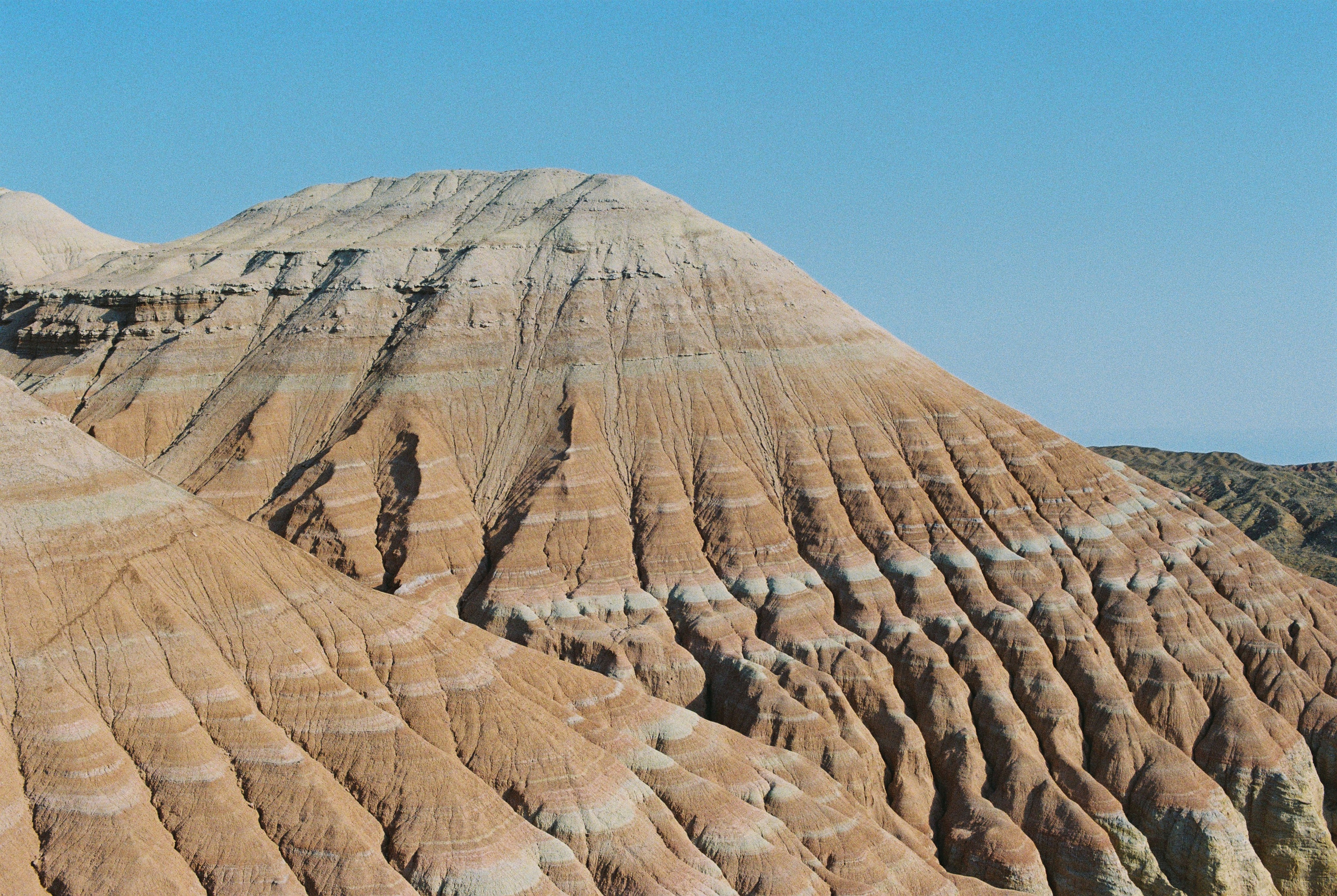 Алтын эмель/Или/Курты, плёнка 2025. Фотограф в Алматы — Алексей Коньков | Репортаж, свадьбы, портреты