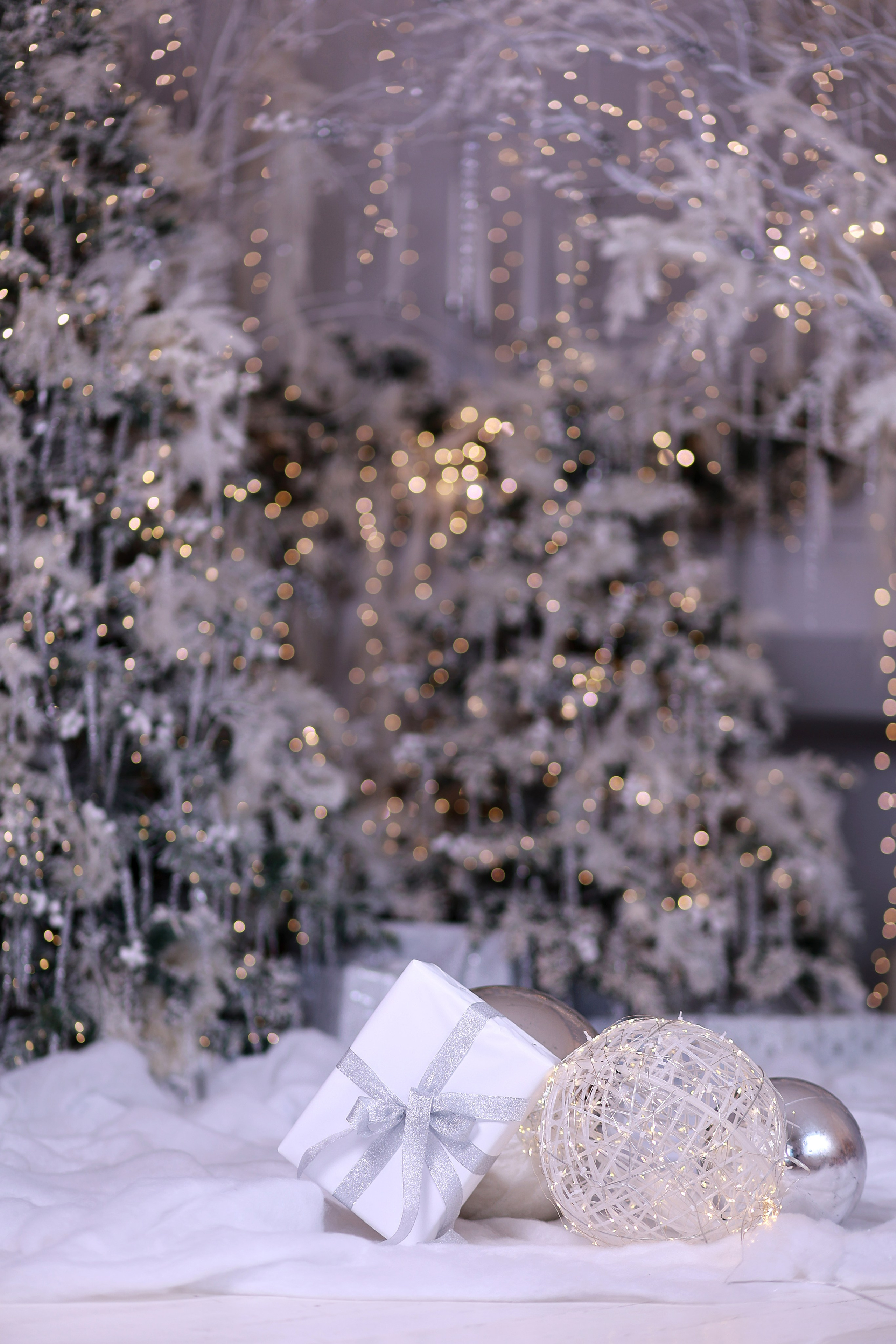 Alice. Детский семейный фотограф Краснодар