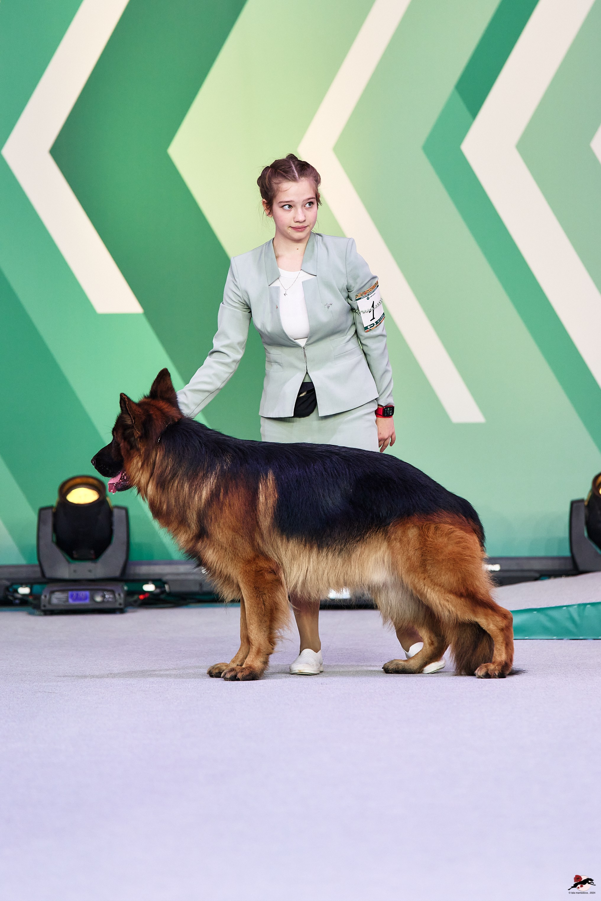 16.11.2024 «ЕВРАЗИЯ. КУБОК ПРЕЗИДЕНТА РКФ 2024»