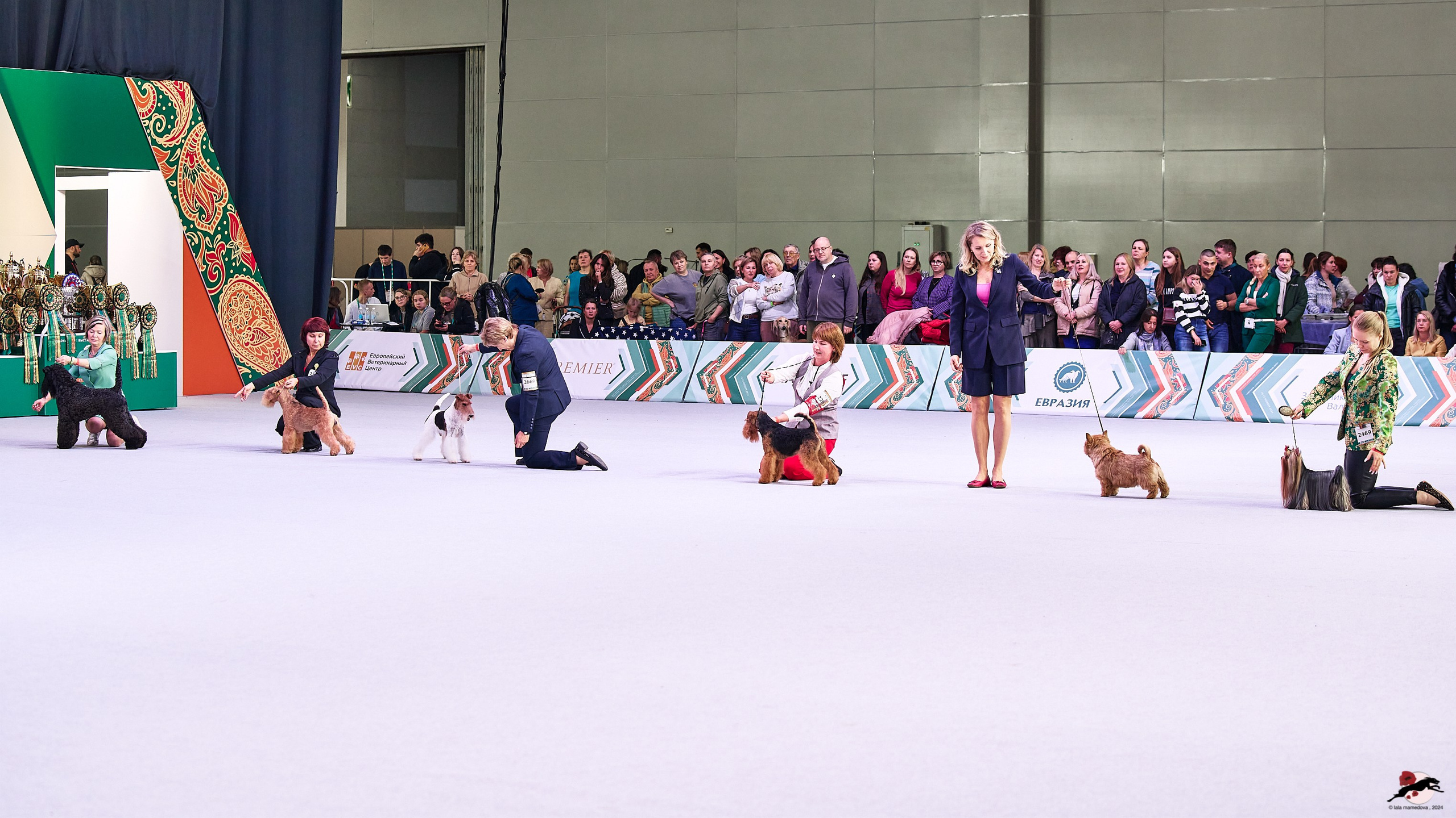 16.11.2024 «ЕВРАЗИЯ. КУБОК ПРЕЗИДЕНТА РКФ 2024»