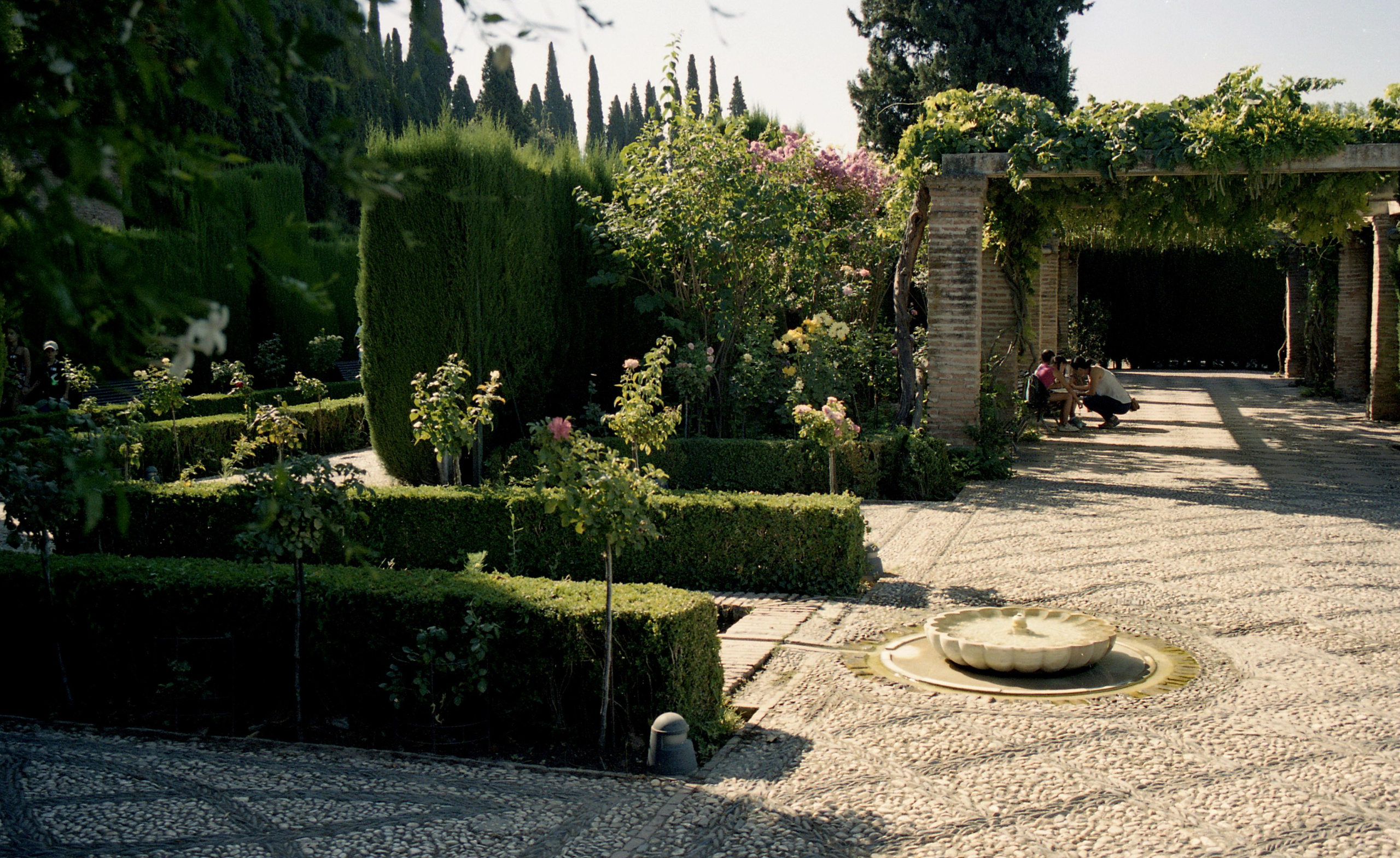 Испания, Андалусия. Елена Никитина. Фотохудожник. Пленочная фотография. Принты