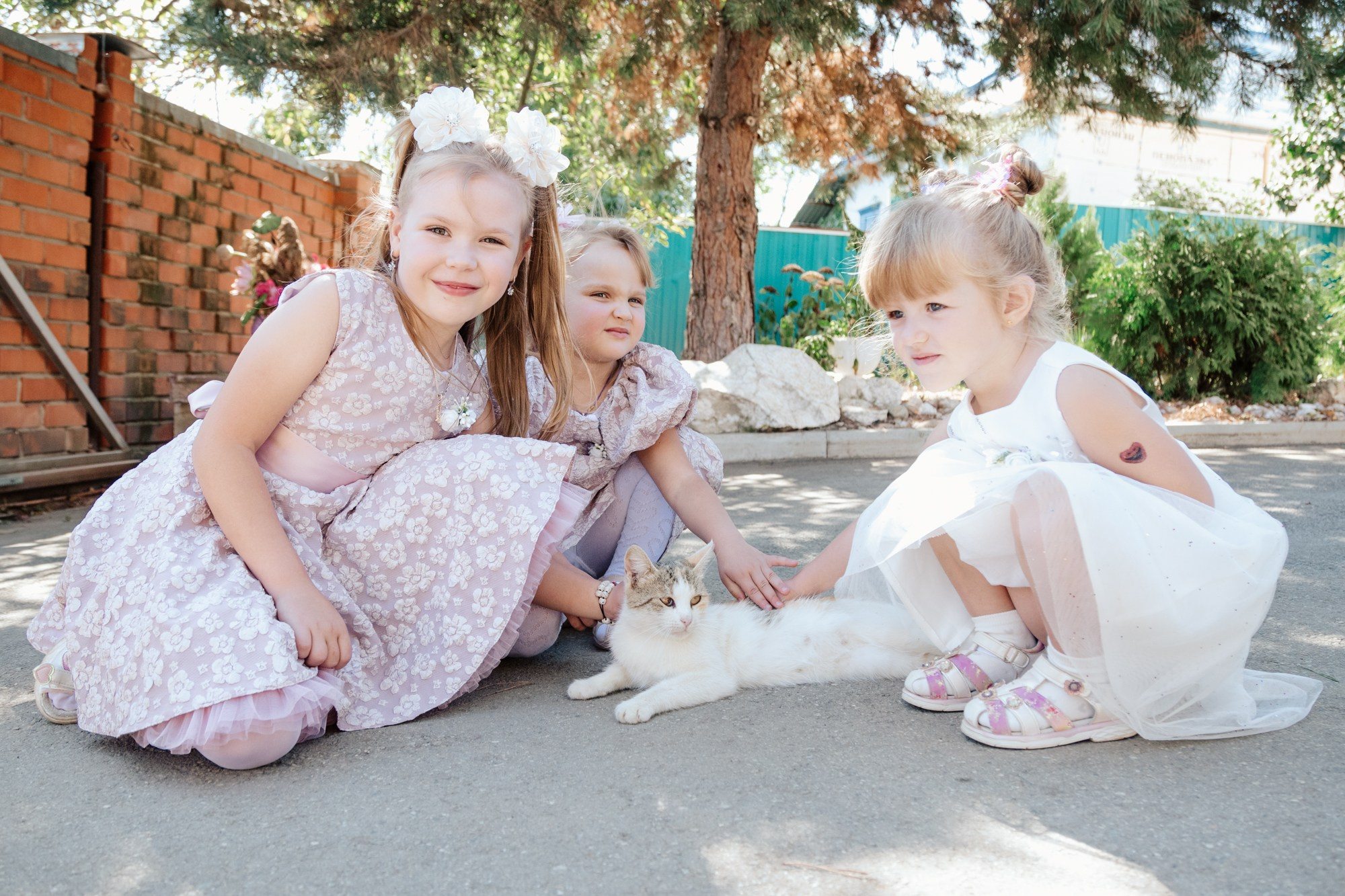 Свадьба в Лабинске 7.09.2024. Репортажный, промышленный и маркетплейс-фотограф Дмитрий Чернат