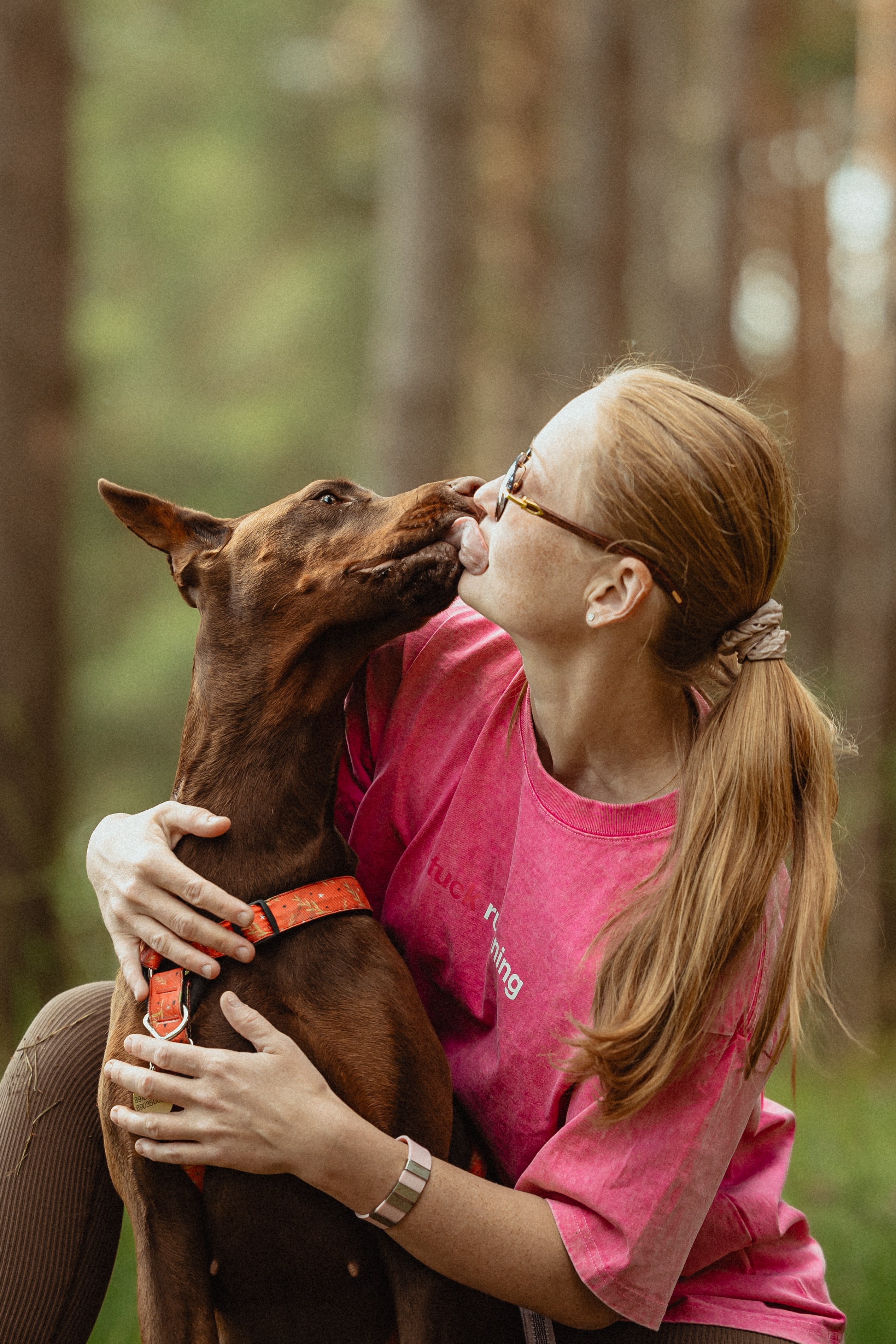 Выездной дог-тренинг от школы «Шерсть имею»