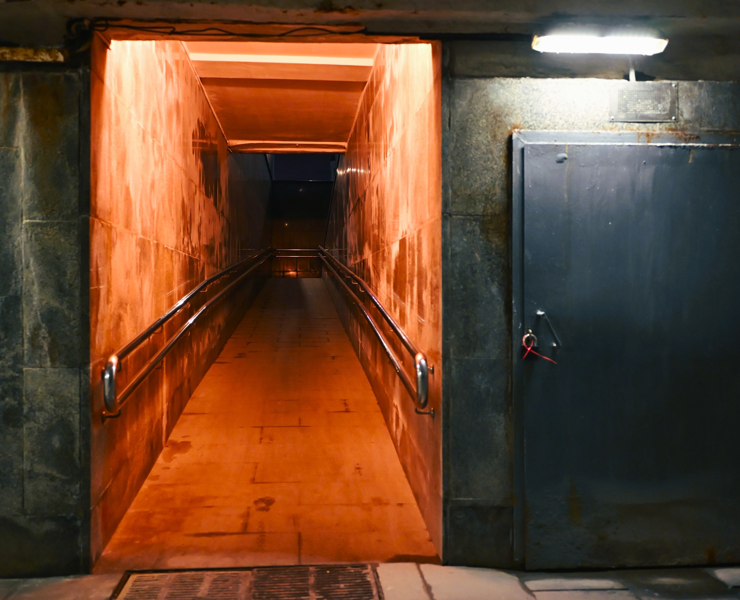 Street. Шевцов Данила — семейный фотограф