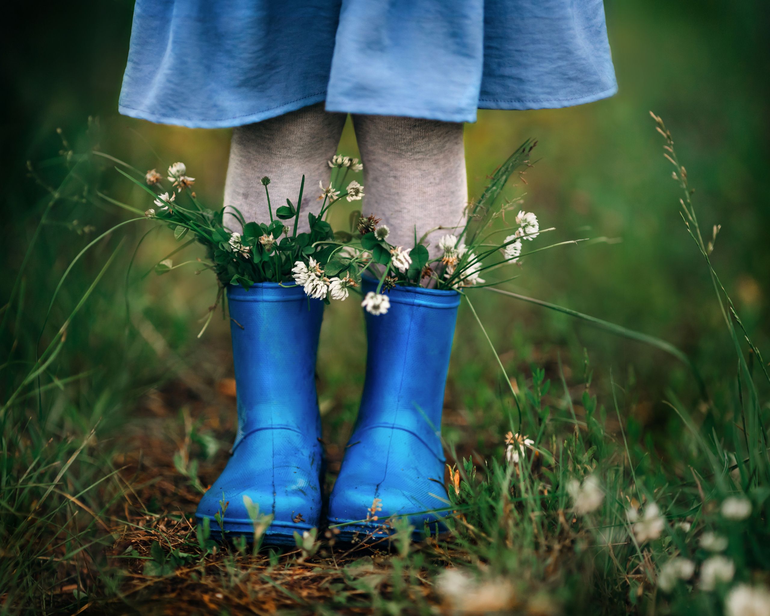 Сказочная съемка. Иллюстратор, Фотограф, Теддист Ольга Сальманович