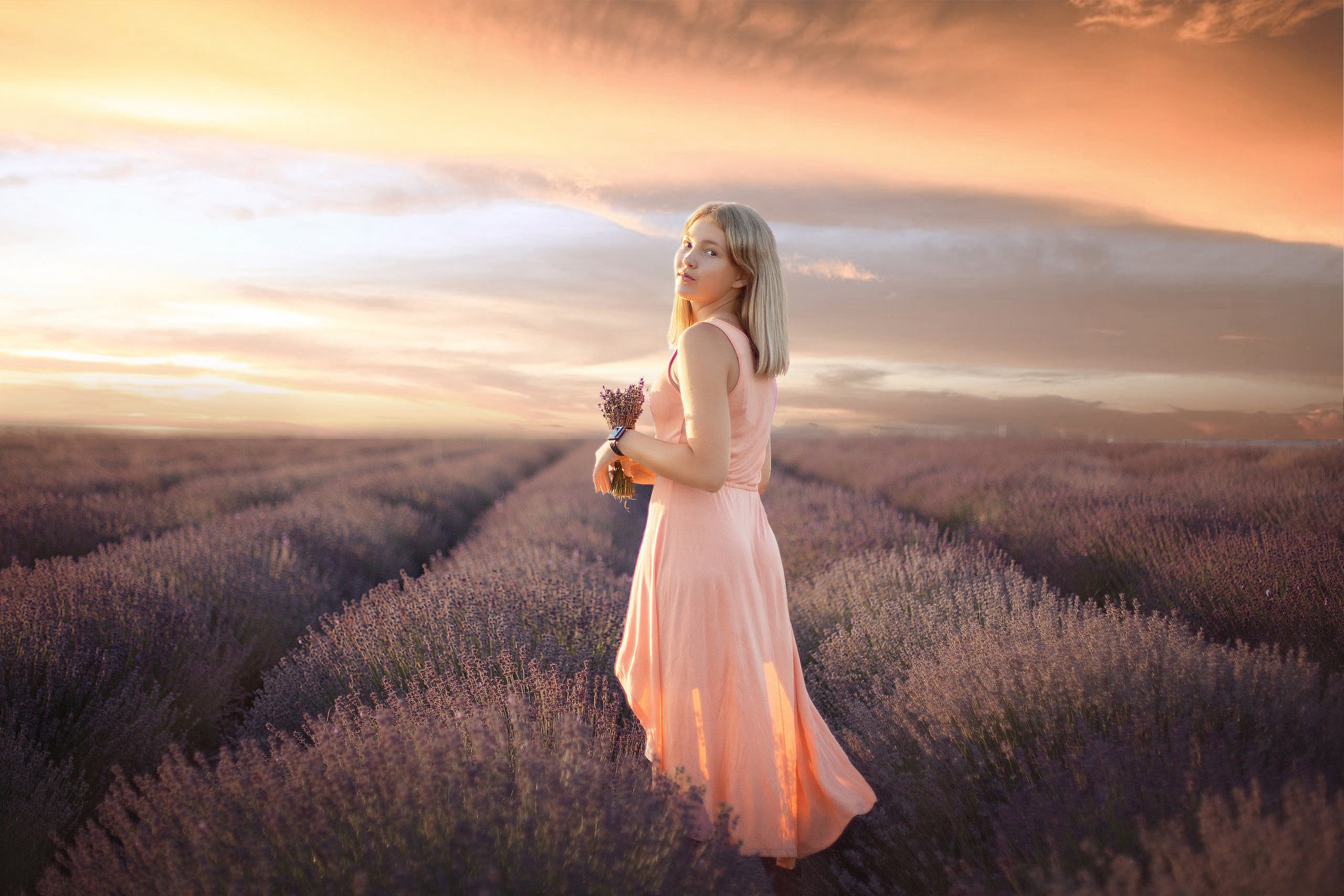 Лавандовые поля. Фотограф в Волгодонске Елена Орешкина