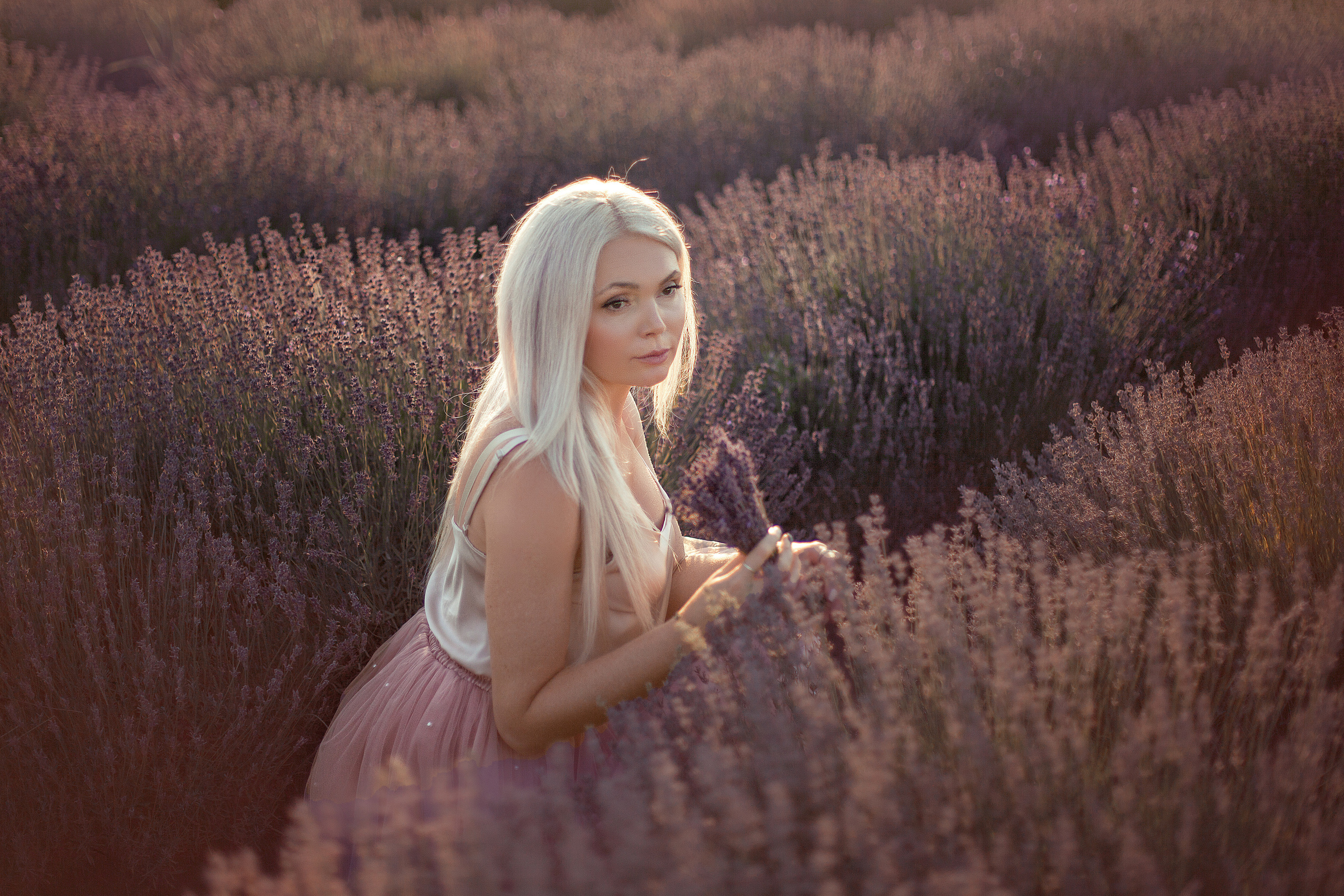 Лавандовые поля. Фотограф в Волгодонске Елена Орешкина