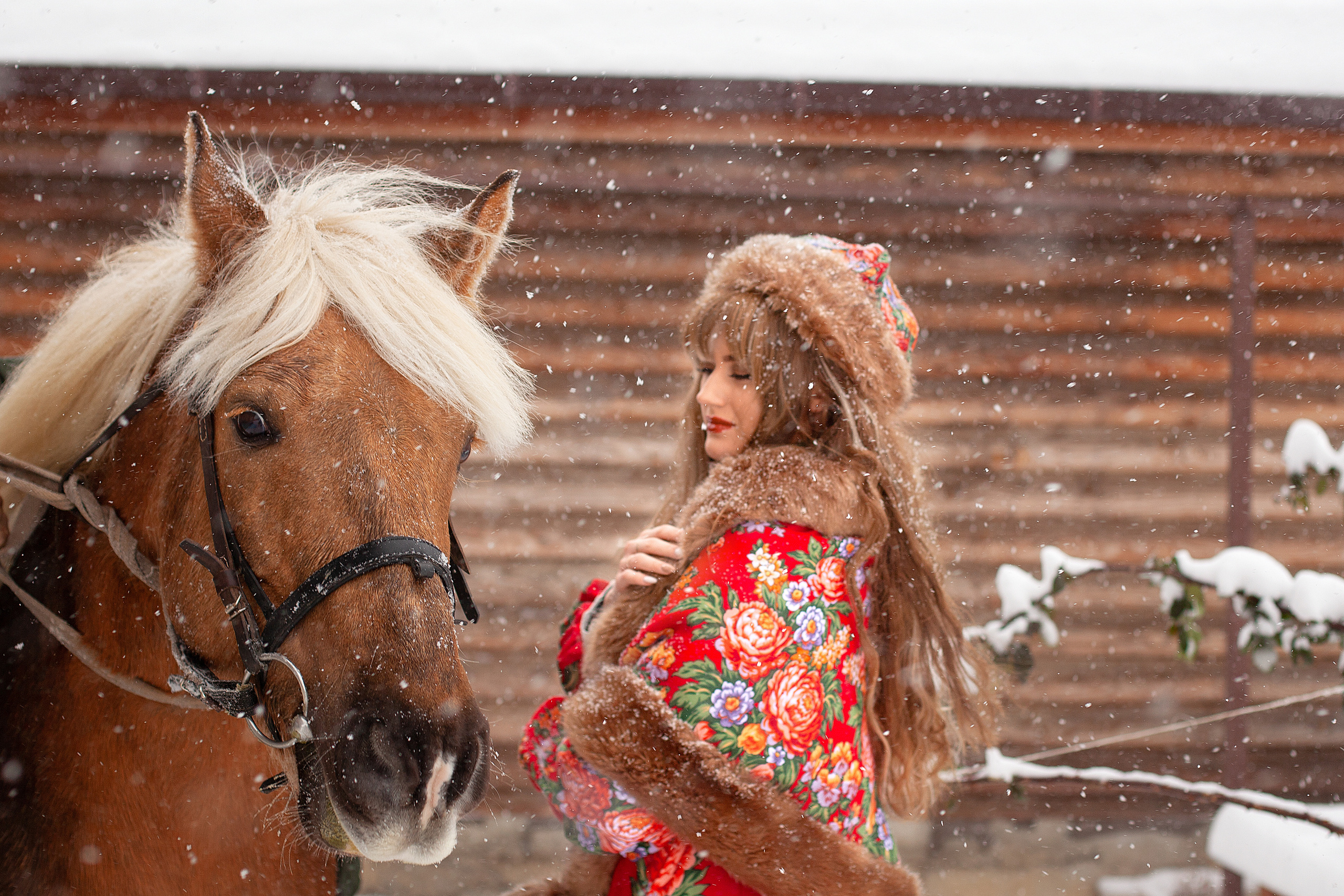 Русская зима. Фотограф в Волгодонске Елена Орешкина