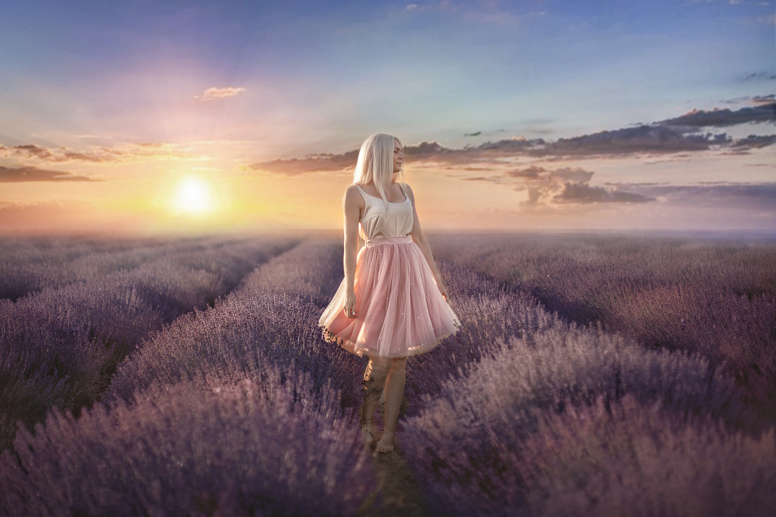 Лавандовые поля. Фотограф в Волгодонске Елена Орешкина