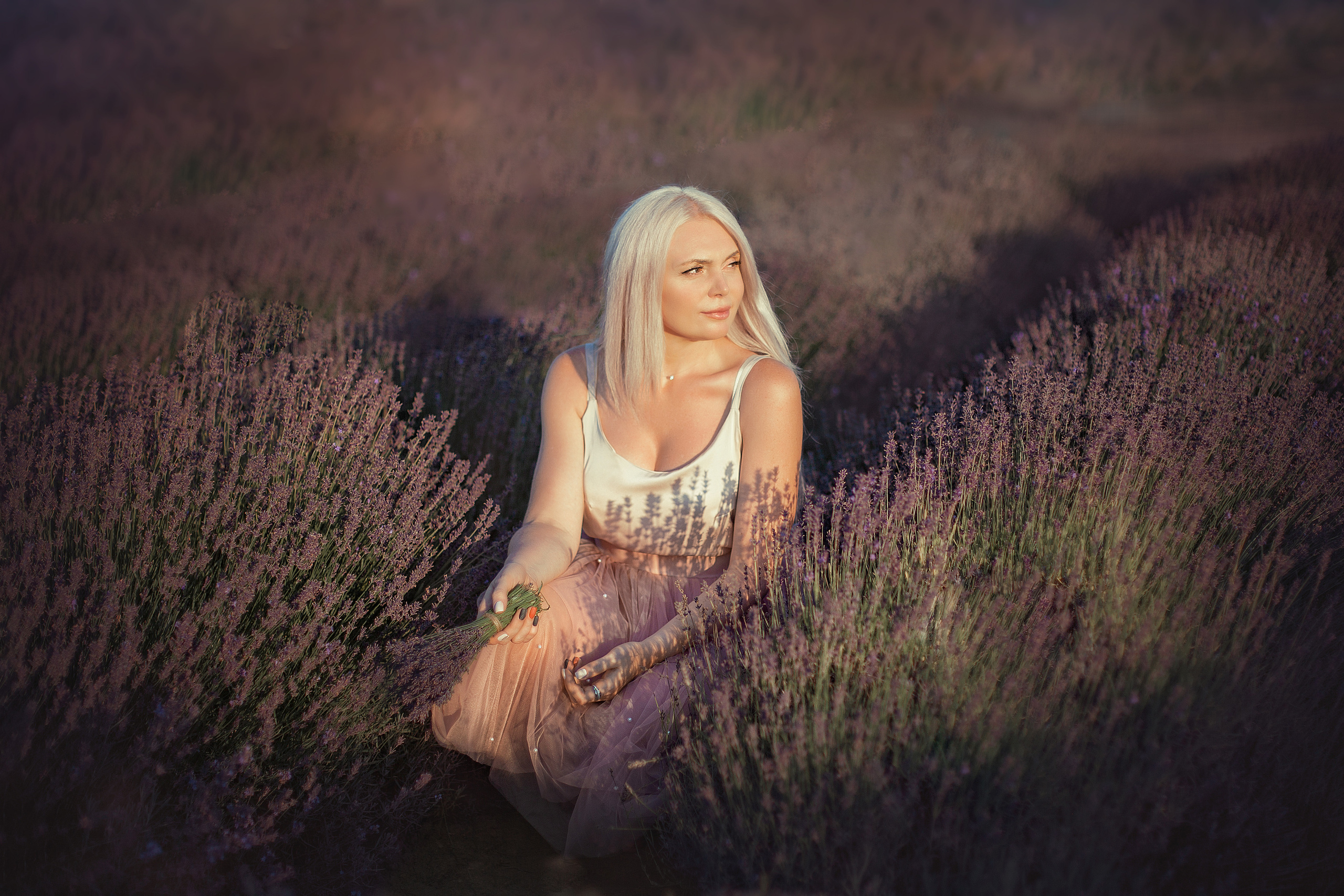 Лавандовые поля. Фотограф в Волгодонске Елена Орешкина