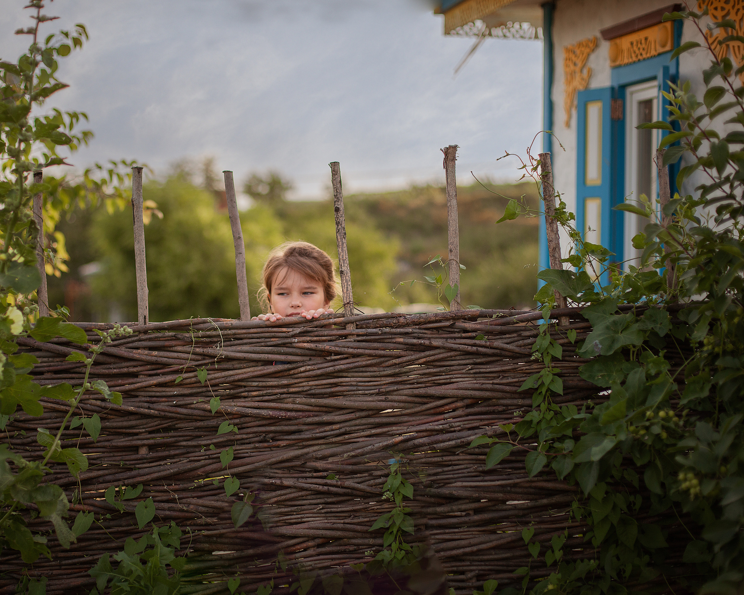 Деревенские мотивы. Фотограф в Волгодонске Елена Орешкина