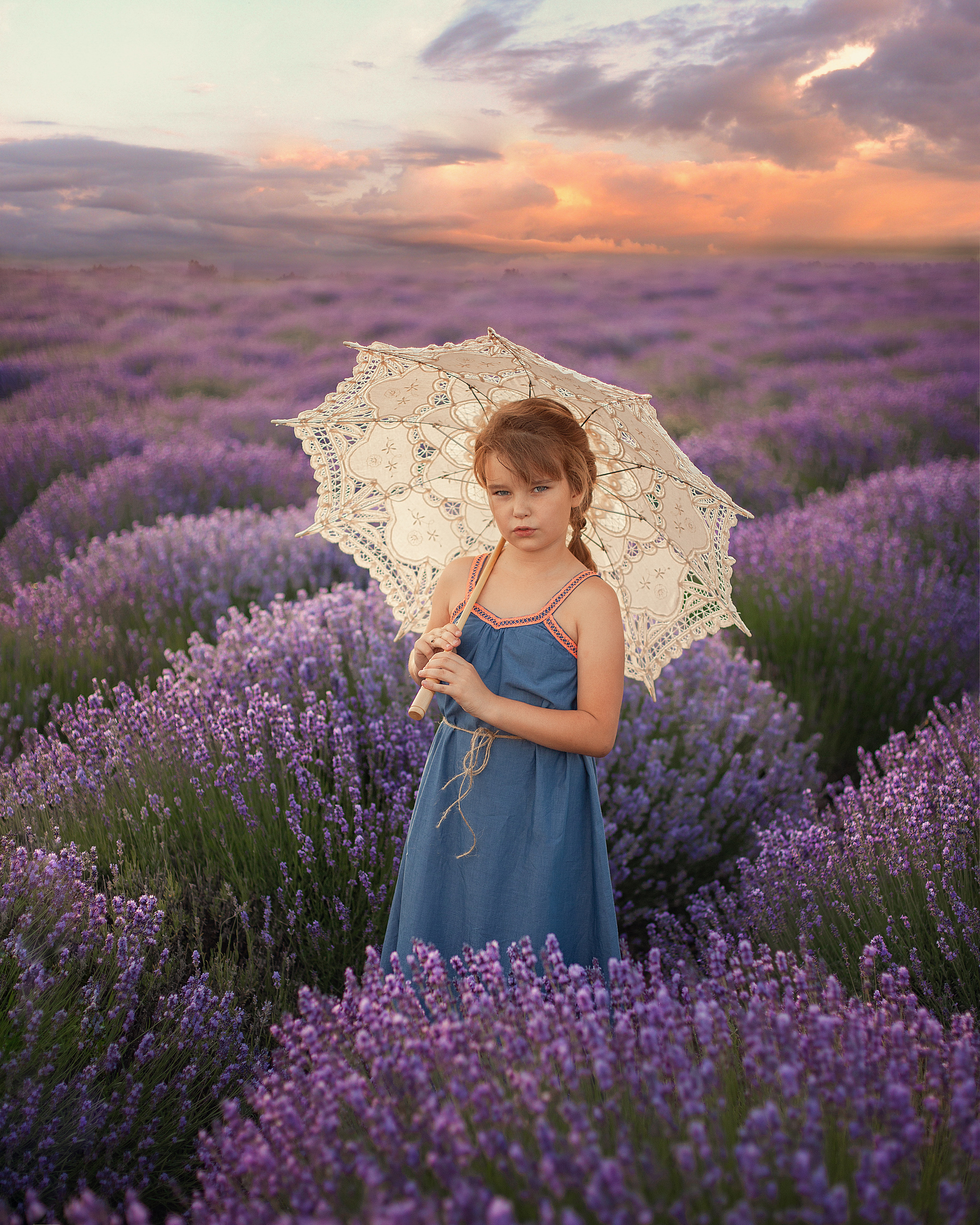 Лавандовые поля. Фотограф в Волгодонске Елена Орешкина