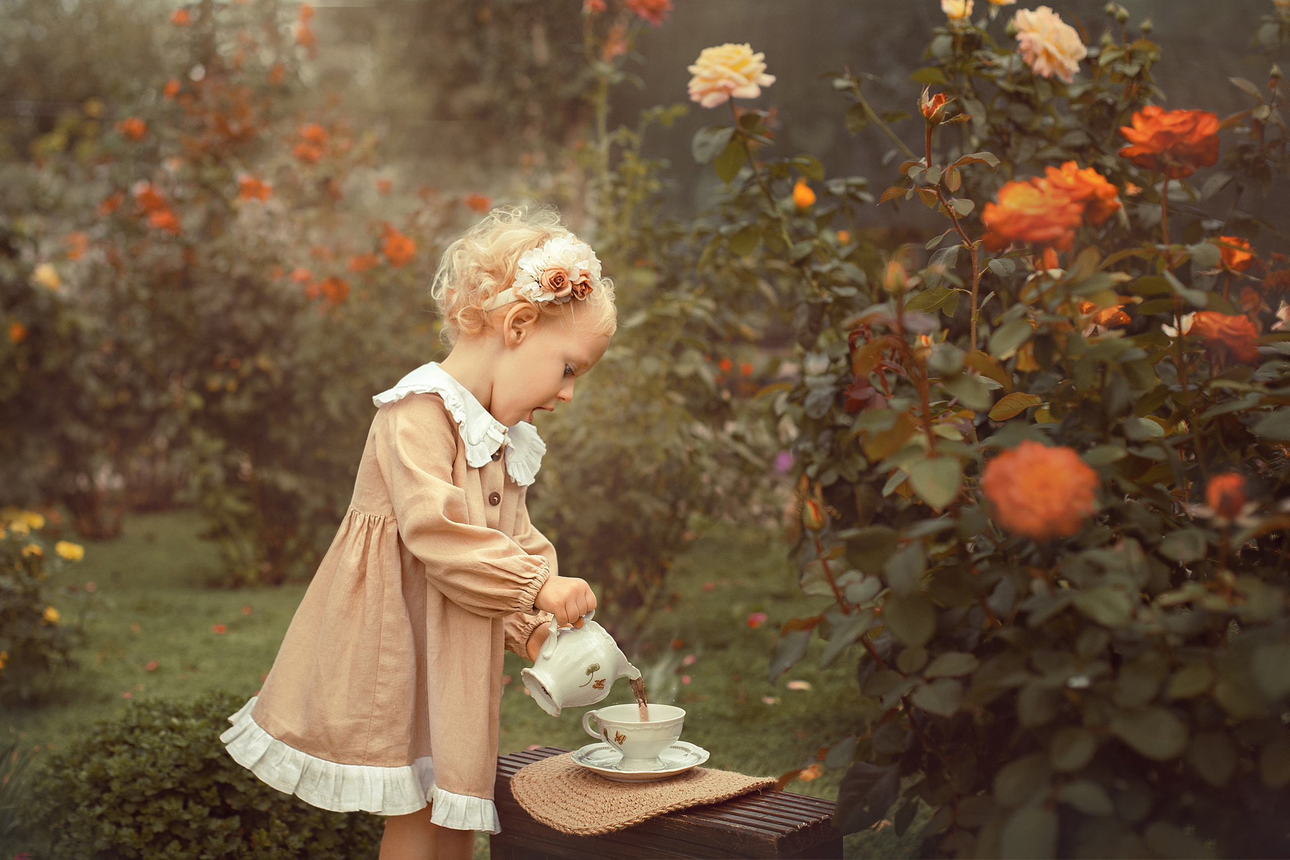 Чаепите в розовом саду. Фотограф в Волгодонске Елена Орешкина