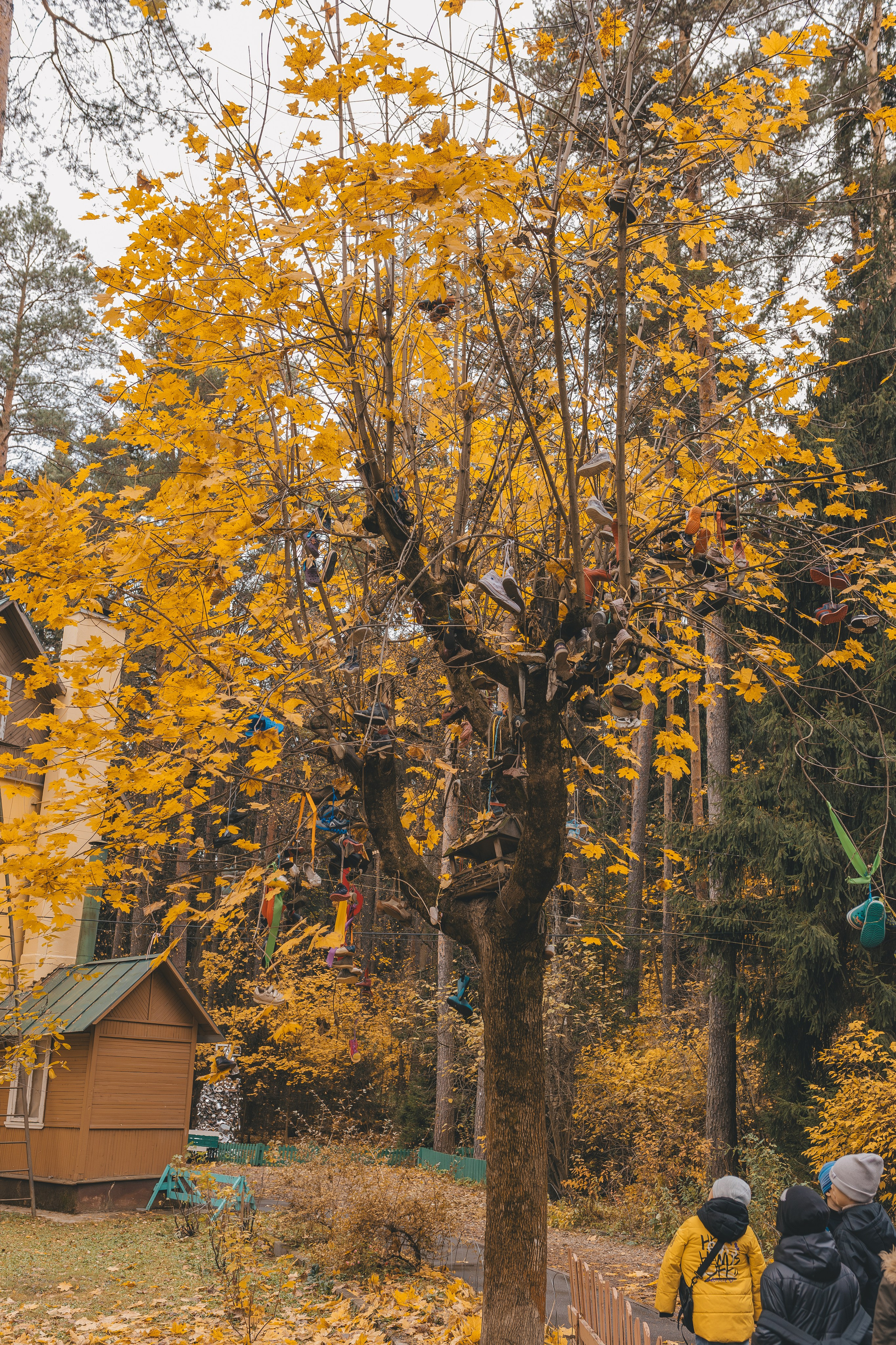 Репортаж школьной экскурсии. Семейный и женский фотограф в Москве Надежда Воробьева