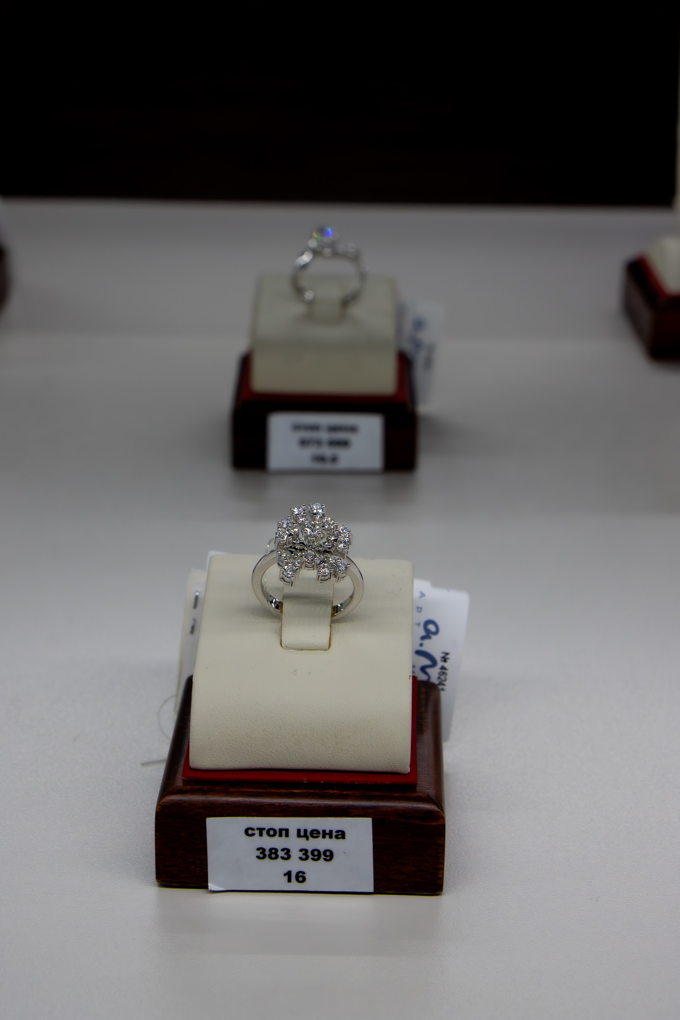 Мисс и Миссис Россия Земля в Изумруде Царском. Фотограф Татьяна Матрос