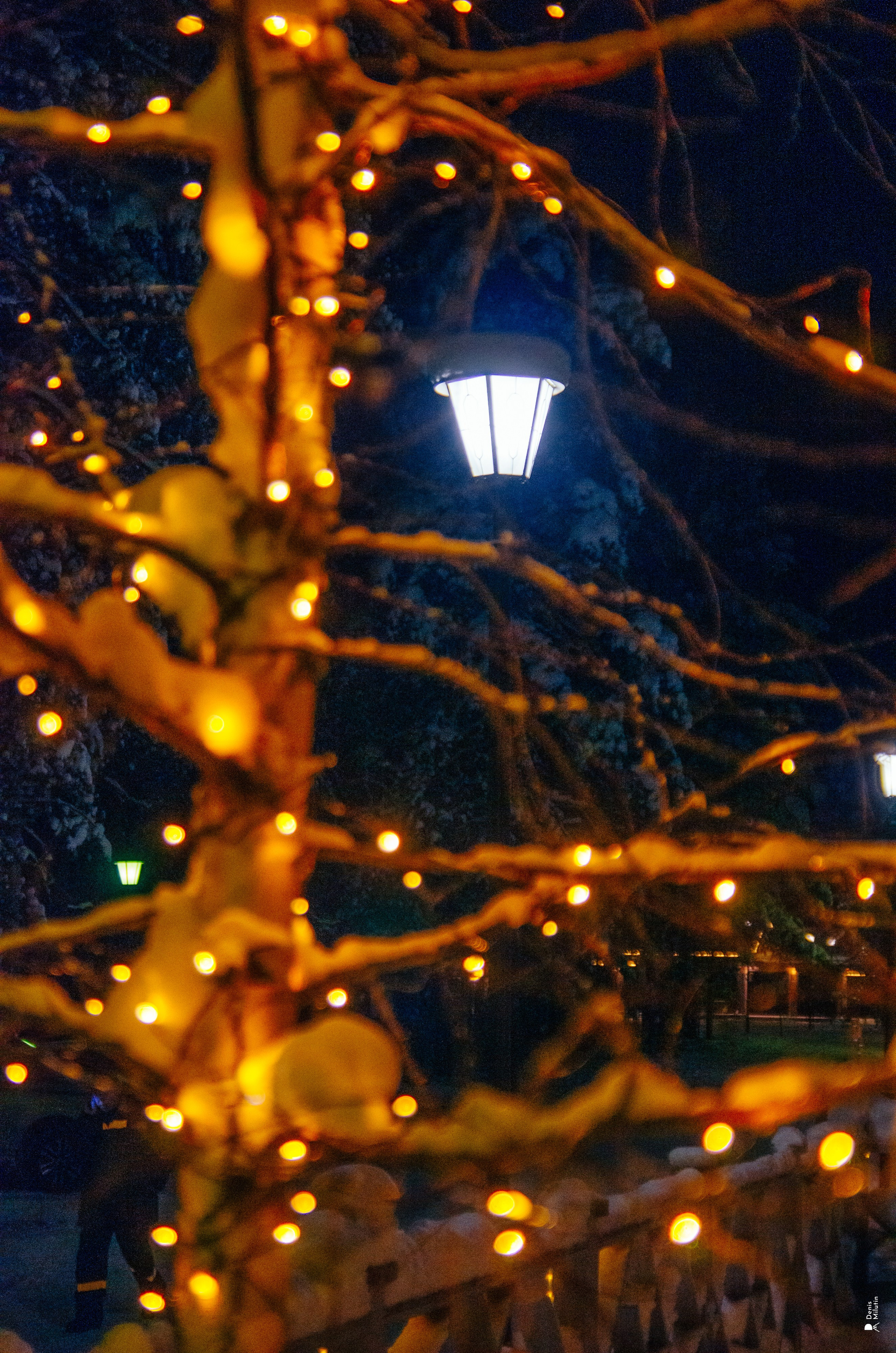 Парк Отель Хвоя. Портретный фотограф Денис Милютин