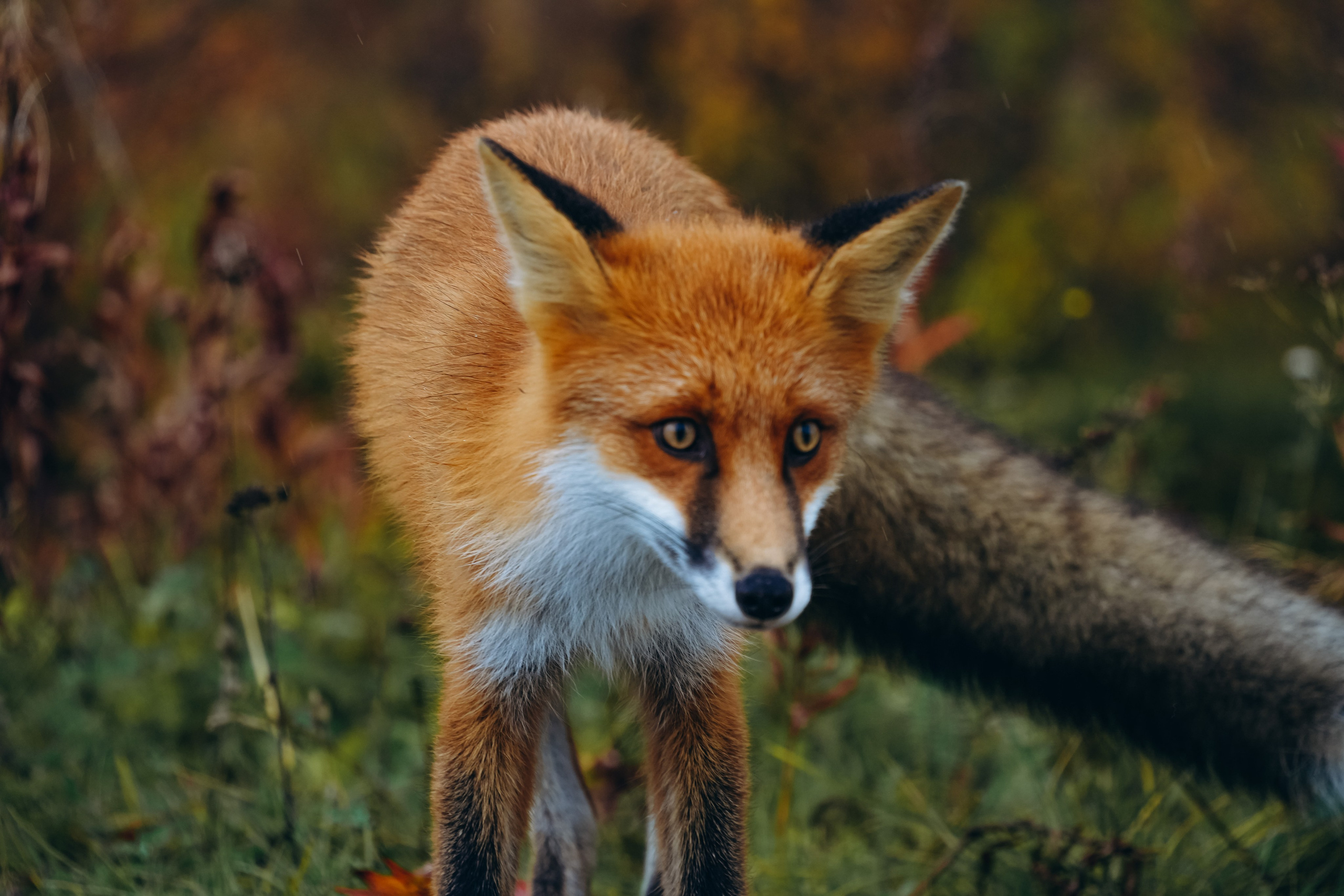 СЕВЕР. Event фотограф Степанова Александра