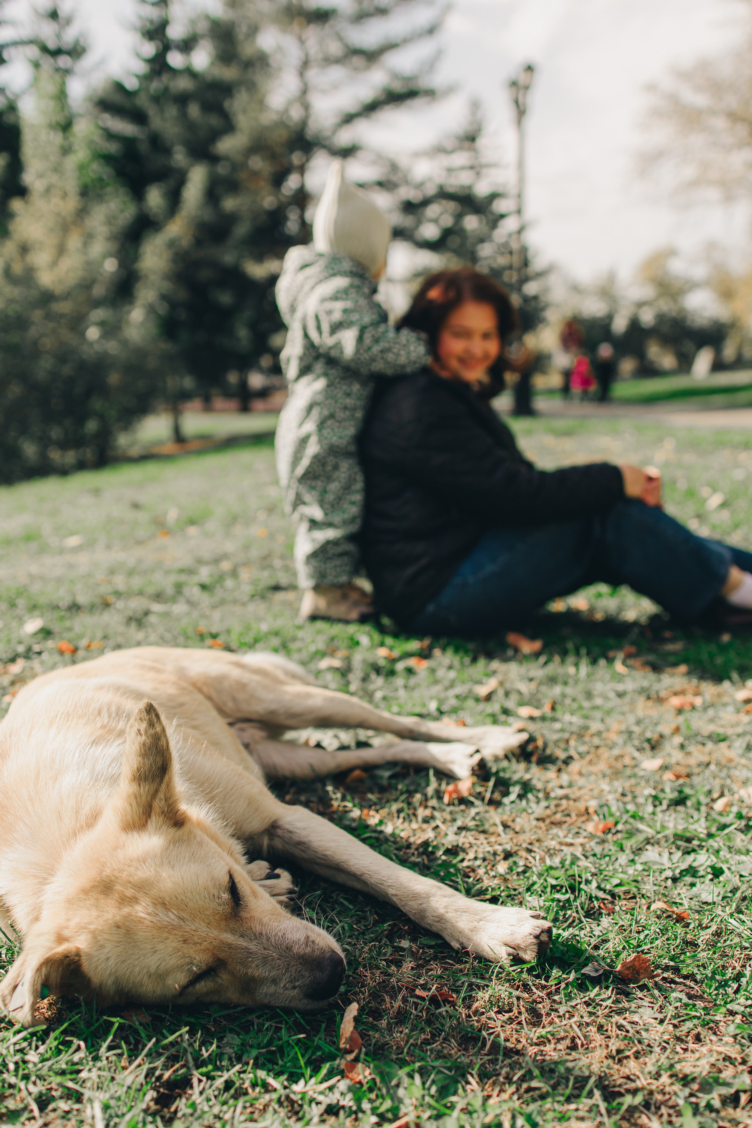 Лилия. Фотограф Уфа