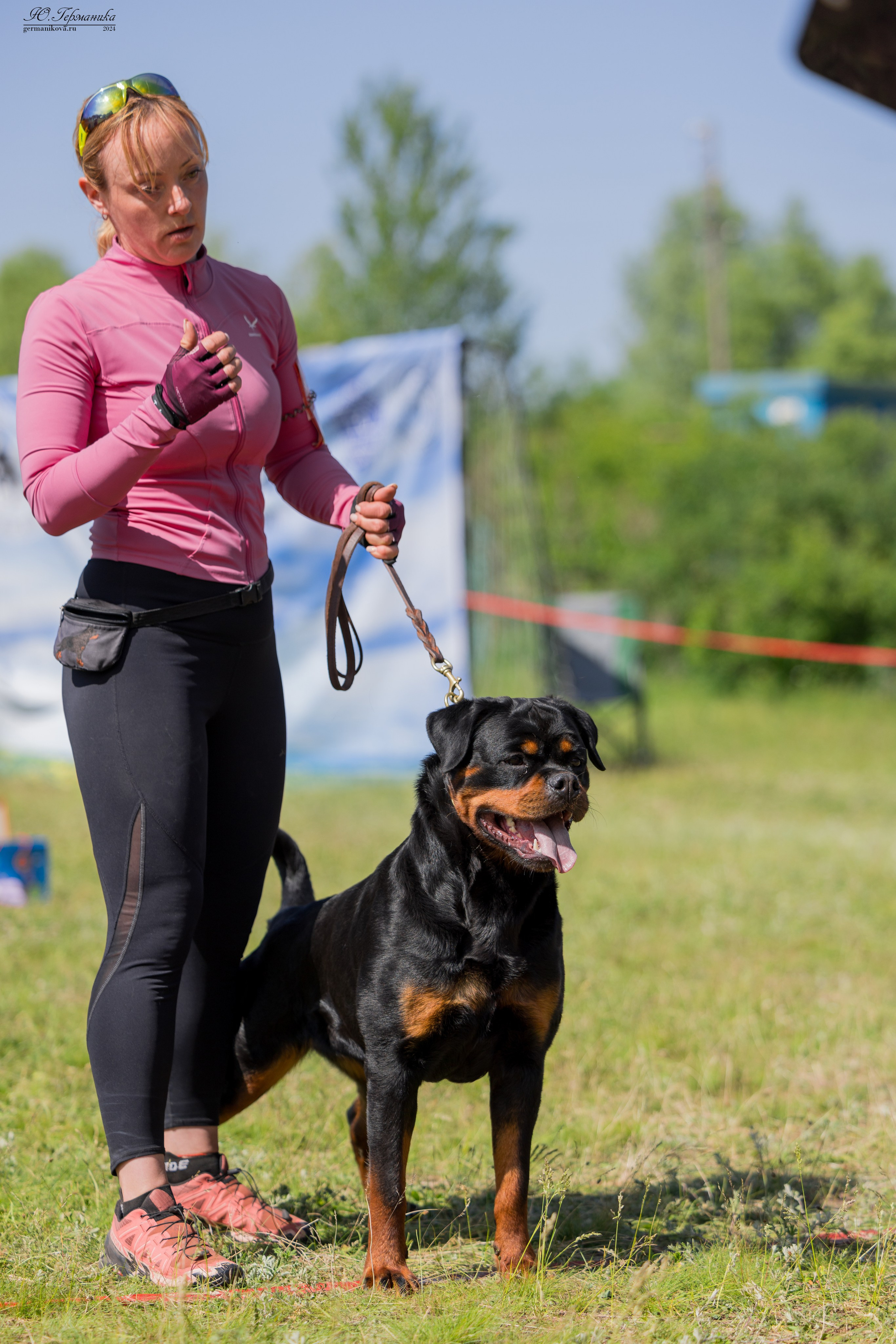 Воронеж моно ротвейлеров 25-26.05.2024. Фотограф-анималист Юлия Германика