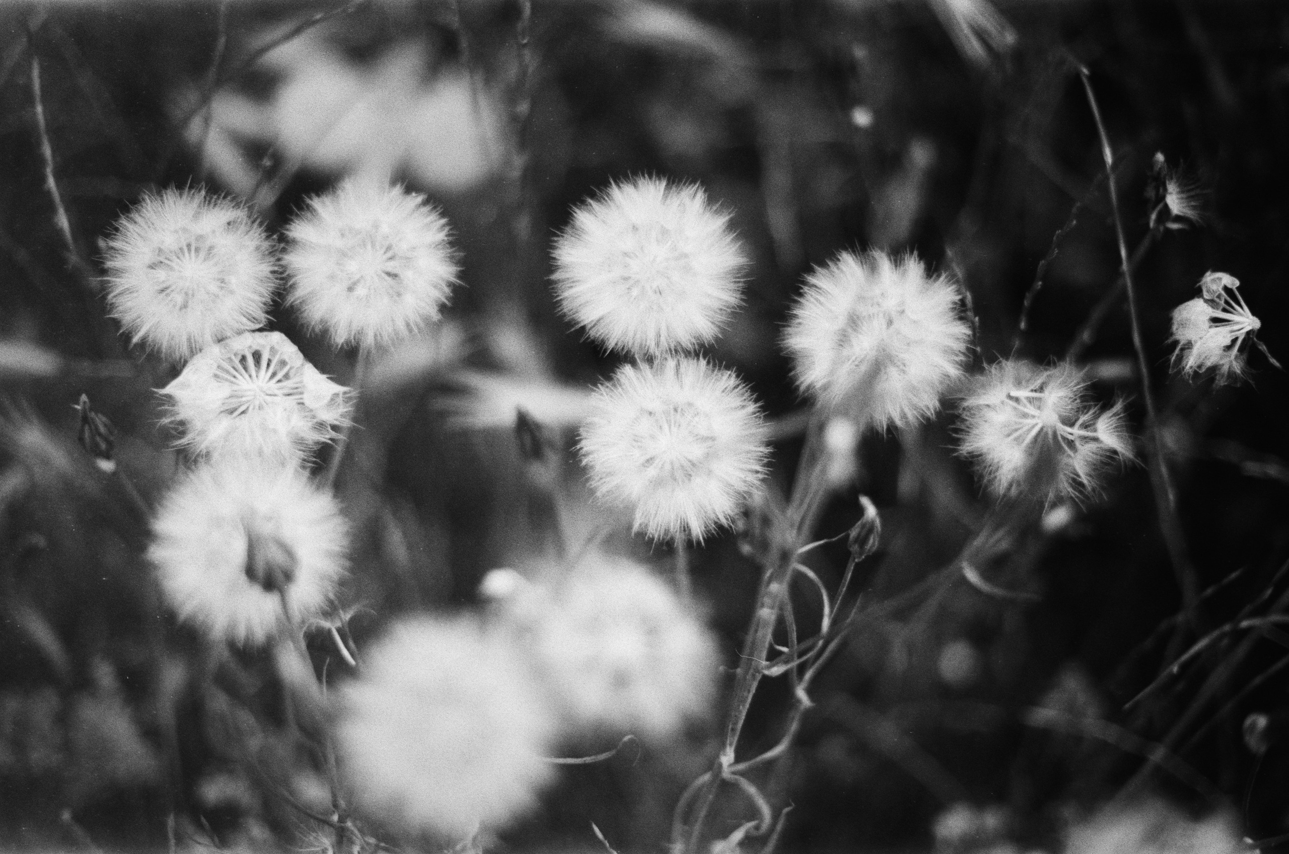 Move me // ukraine, crimea II. EVER EXPOSED