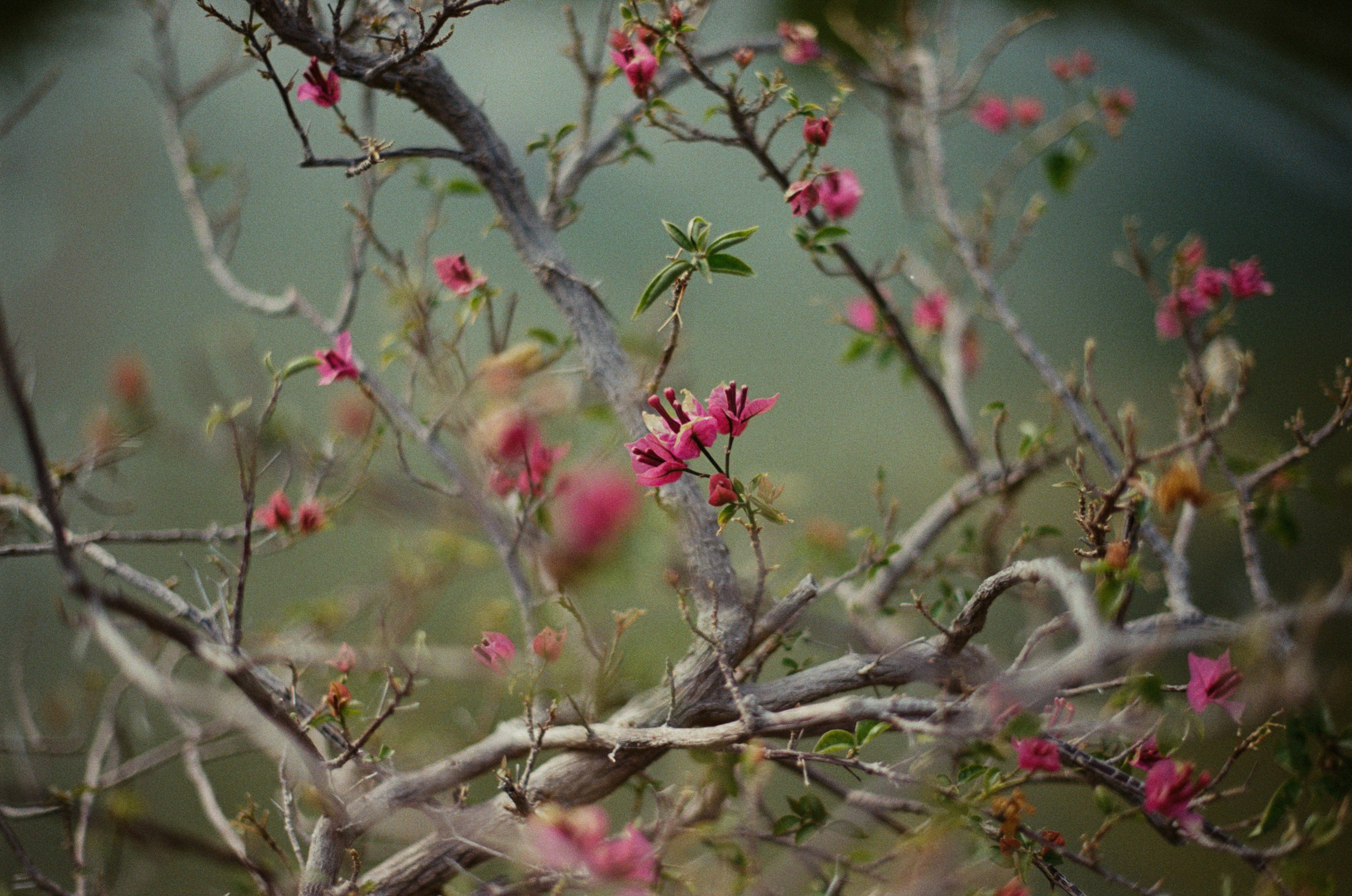 This time // ukraine, crimea III. EVER EXPOSED