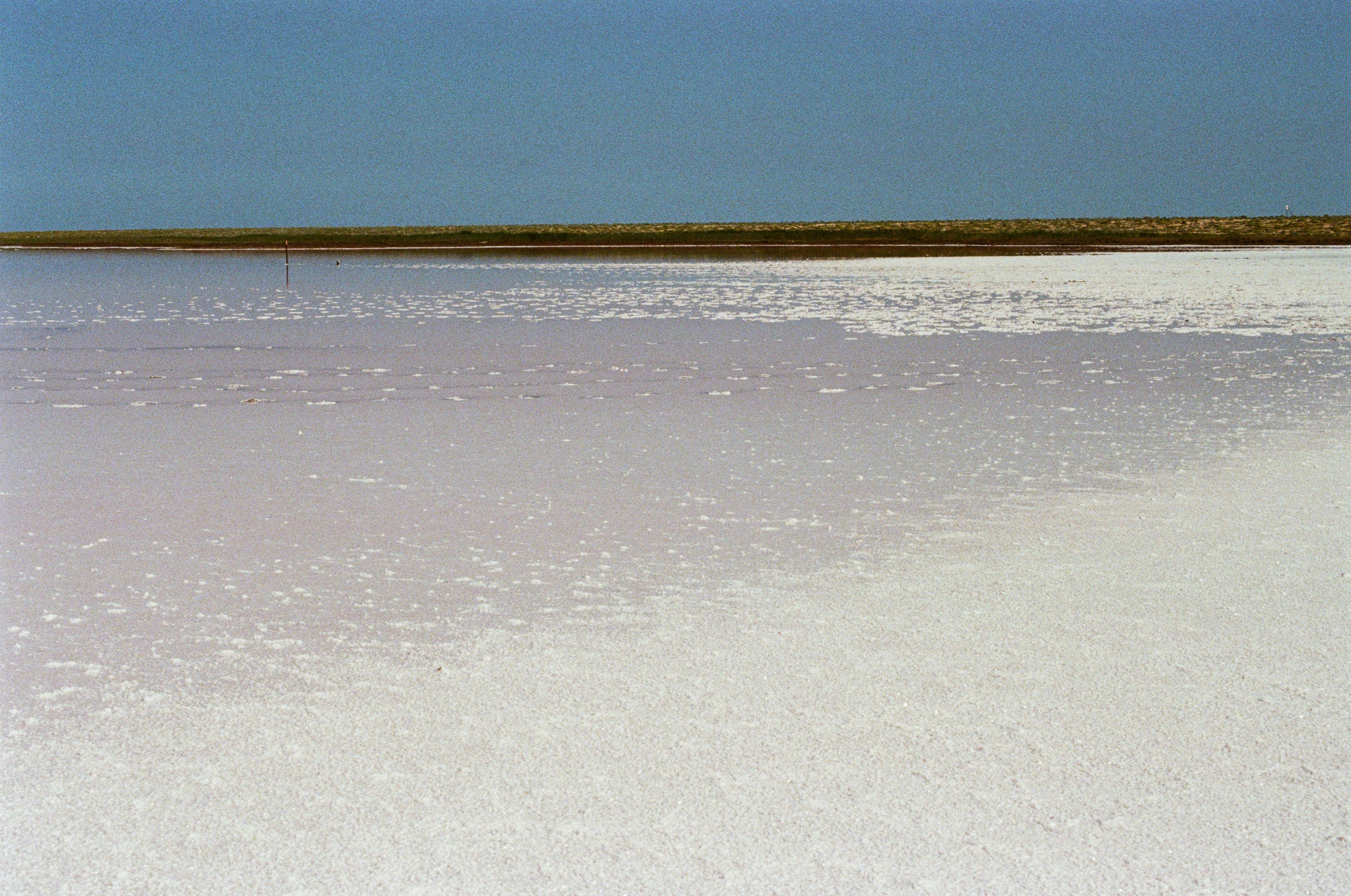 Dig it // ukraine, crimea XI. EVER EXPOSED