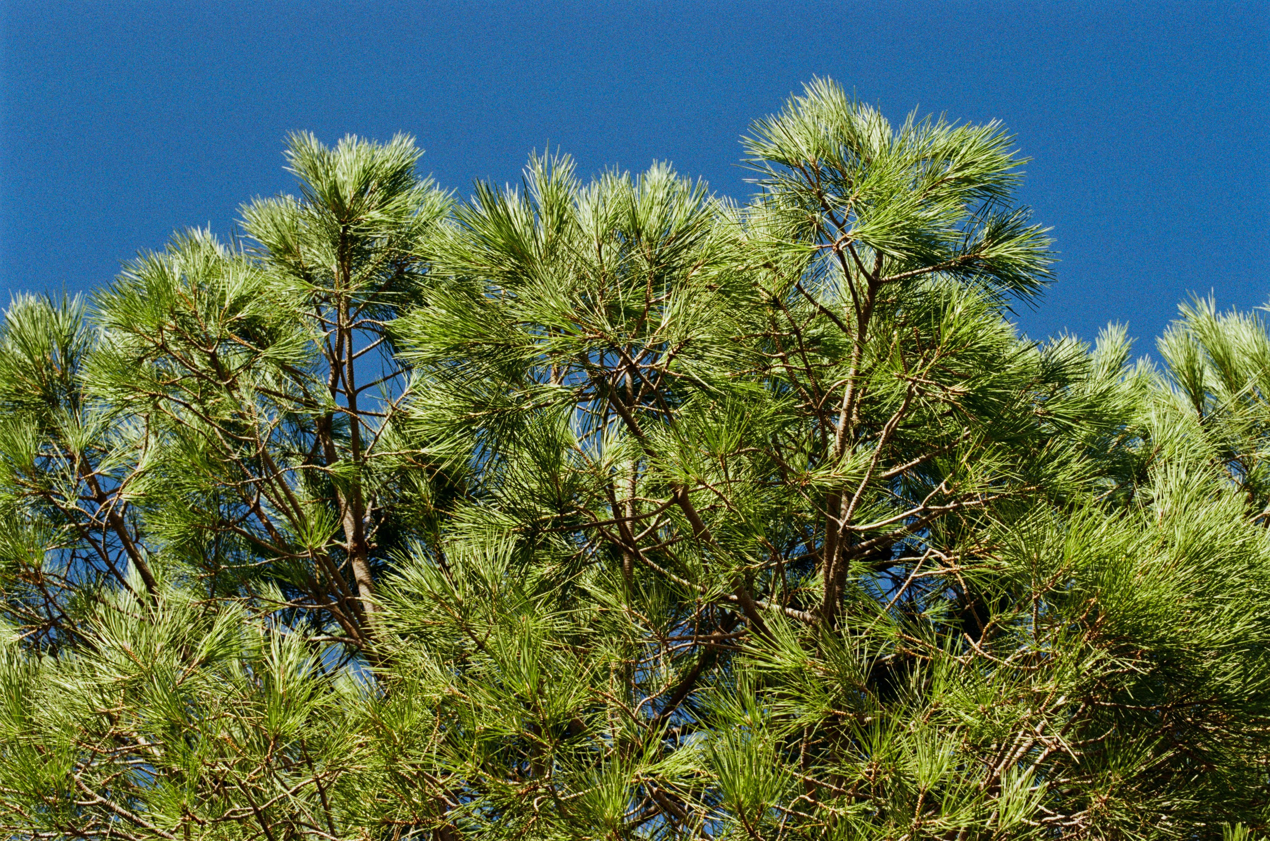 The contract // france, cote d'azur. EVER EXPOSED