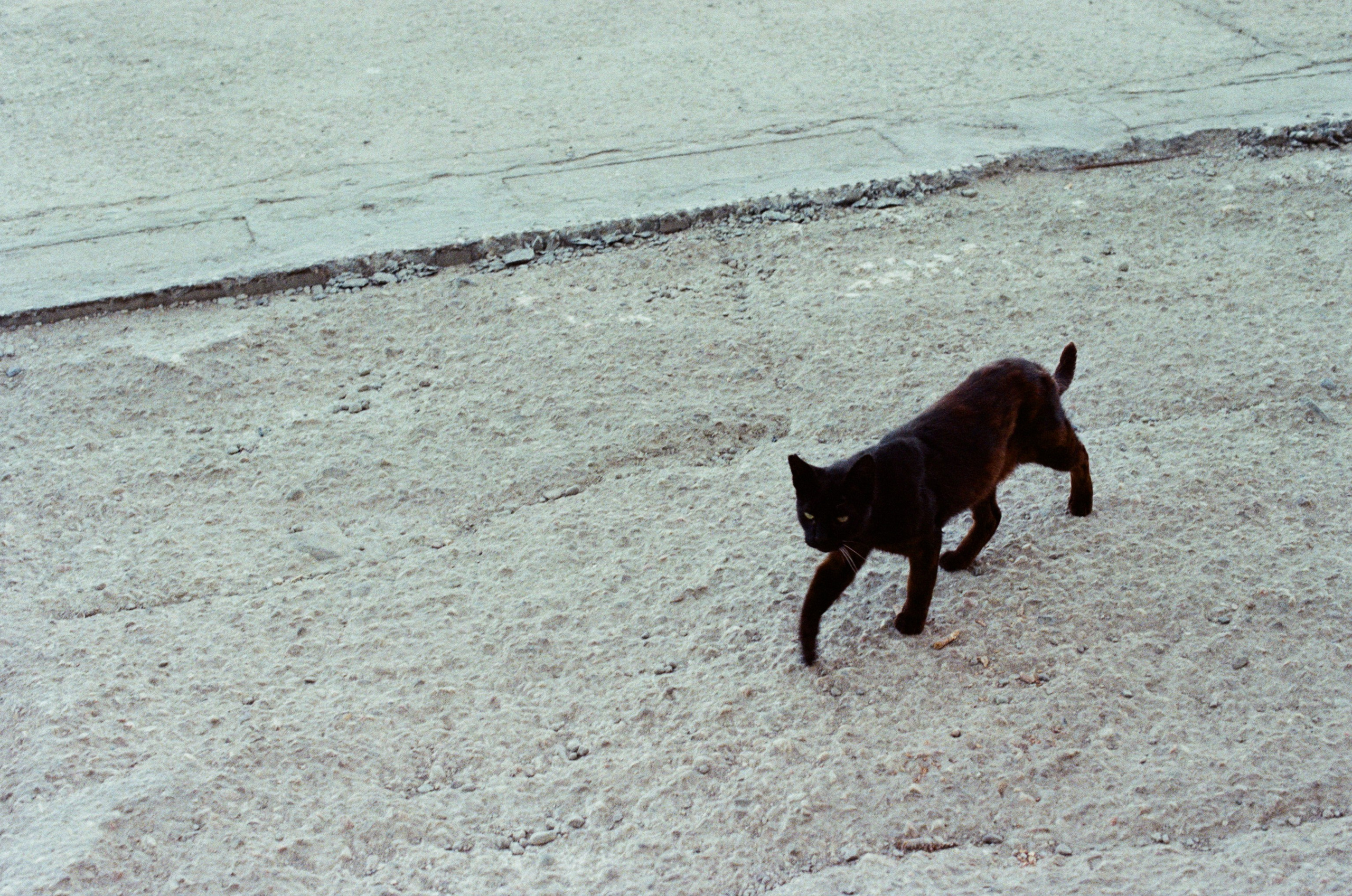 Dig it // ukraine, crimea XII. EVER EXPOSED