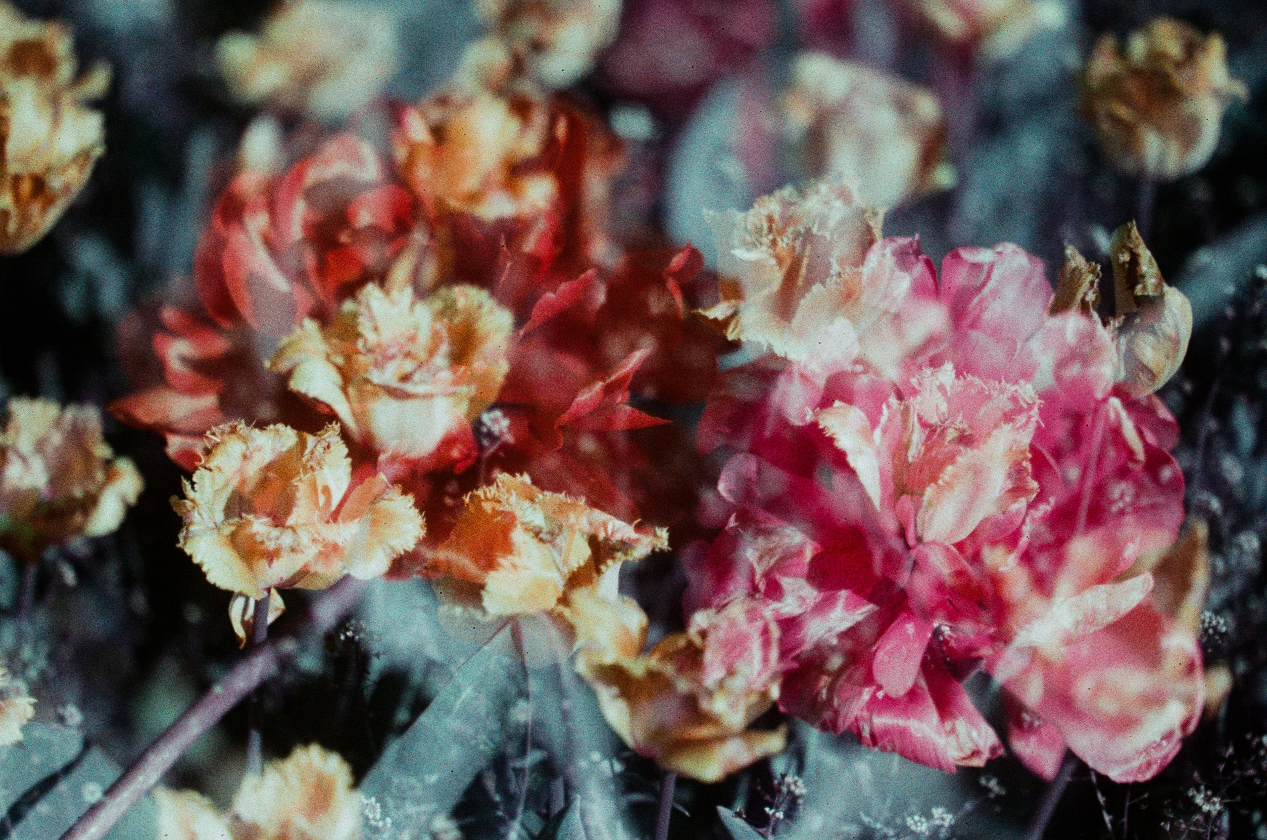 Press enter to exit // ukraine, crimea X. EVER EXPOSED