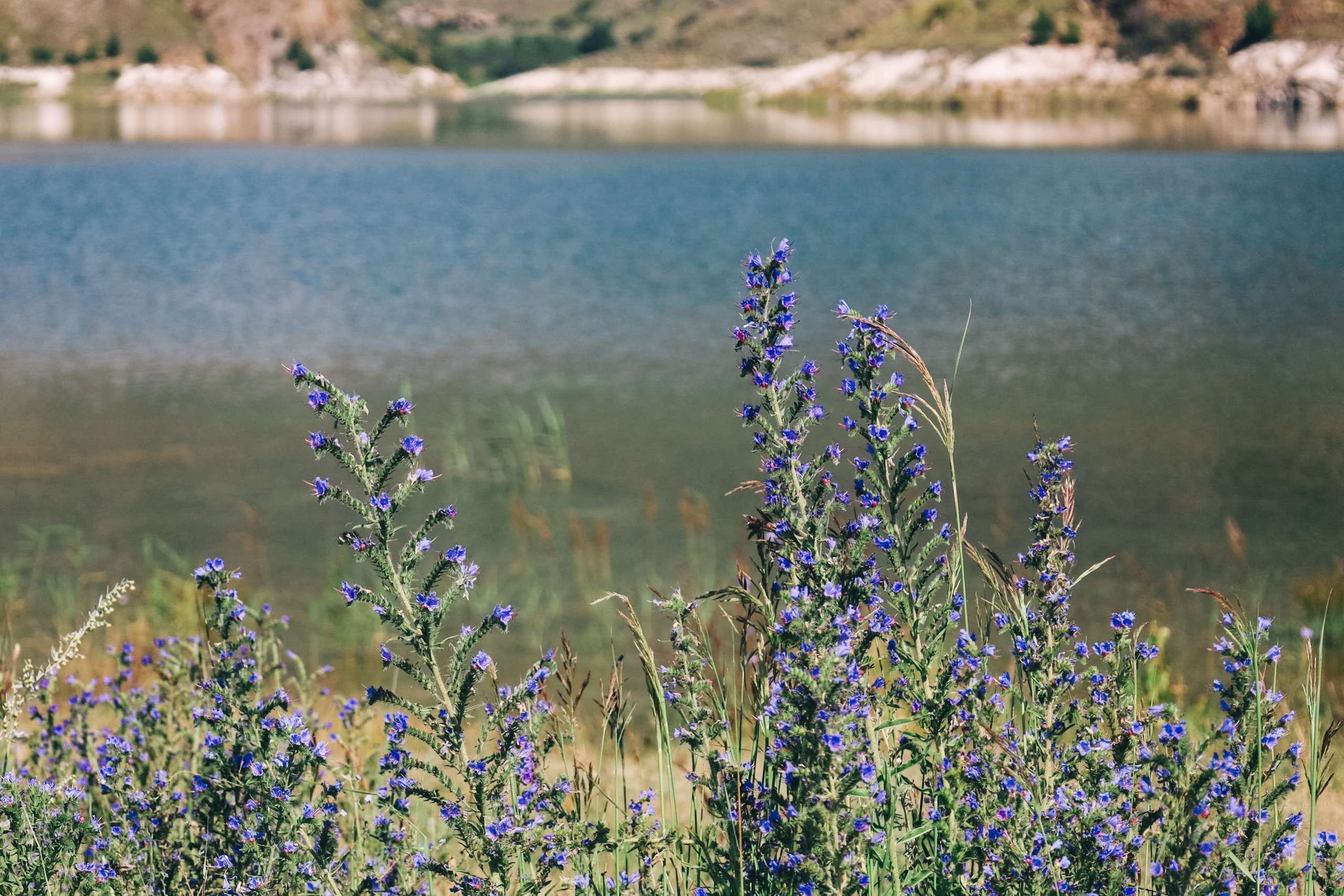 Приэльбрусье 22 — 23 июля 2023. Фотограф katya_vkadre Таганрог