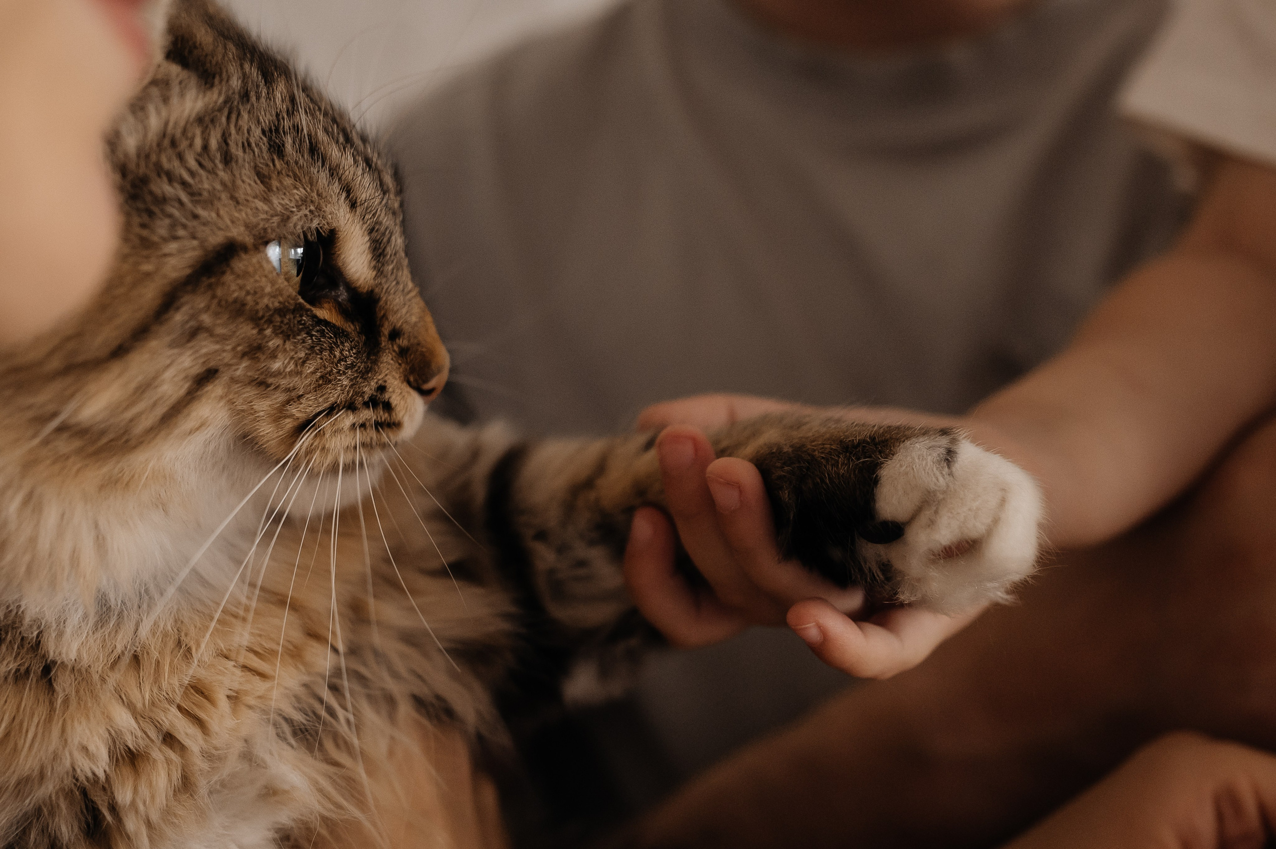 История 3. Свадебный Фотограф Уфа Егорова Анастасия