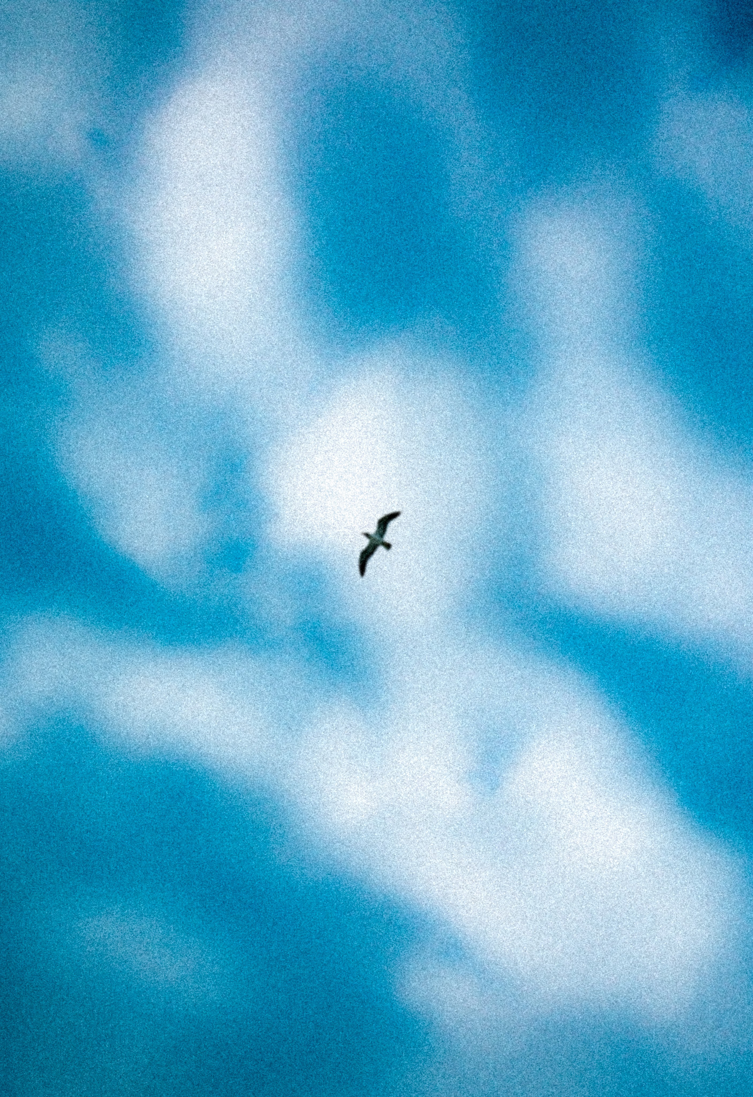 Фотограф/видеограф Богдан Голованов