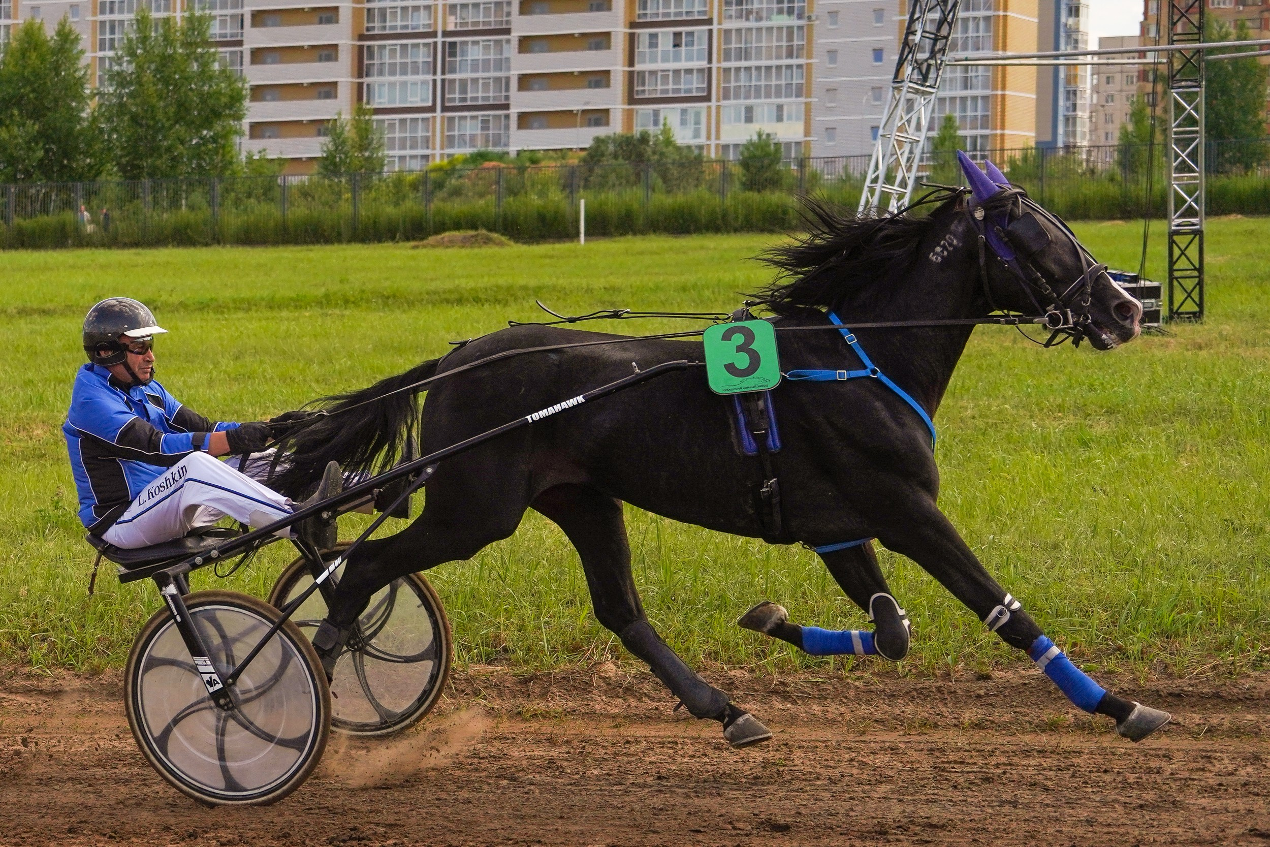 III конные бега на Кубок Главы Чувашии. Фотограф-анималист, портретный фотограф в Чебоксарах Мария Садыкова