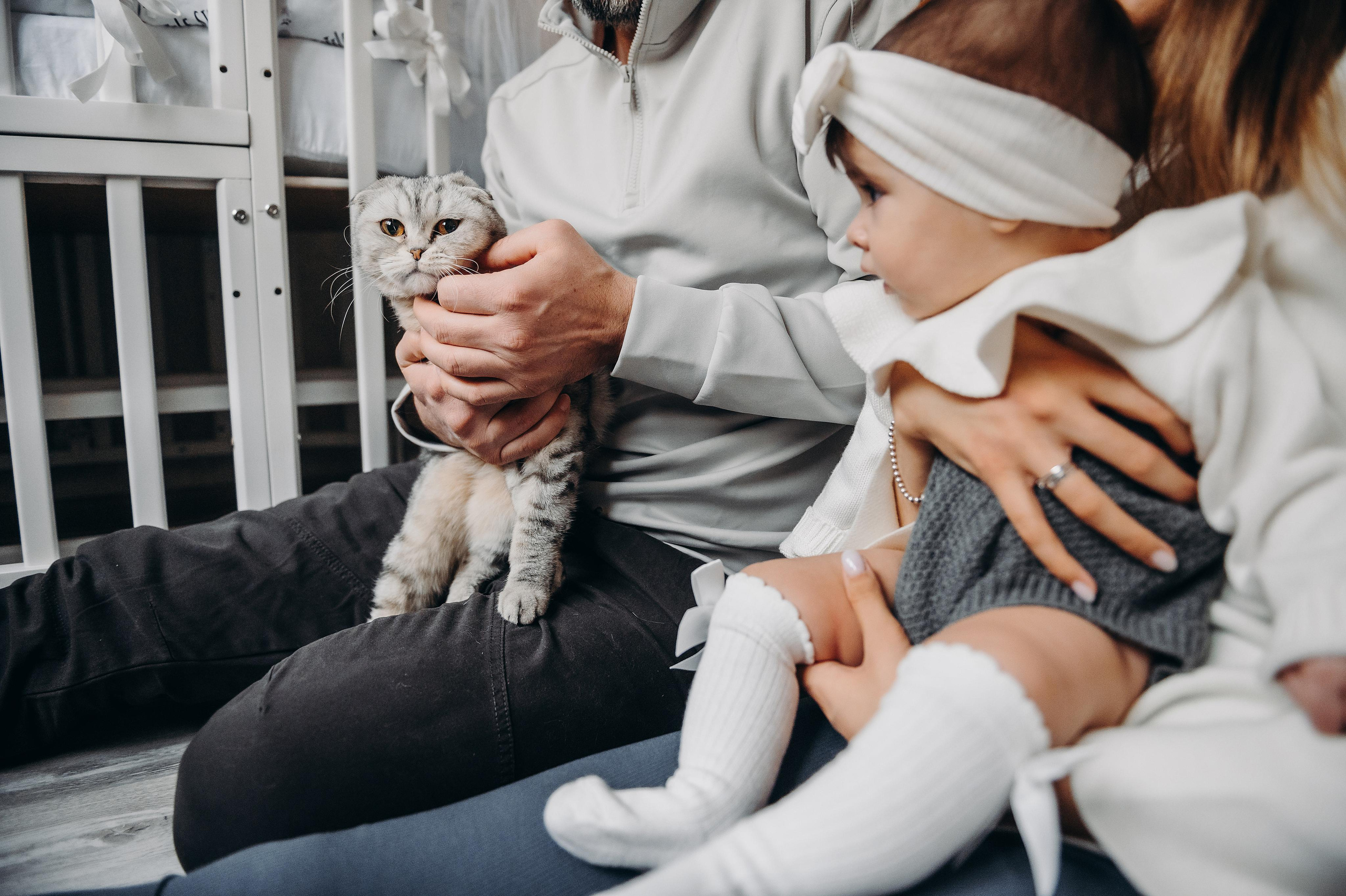 Пол года Аделине. Главная