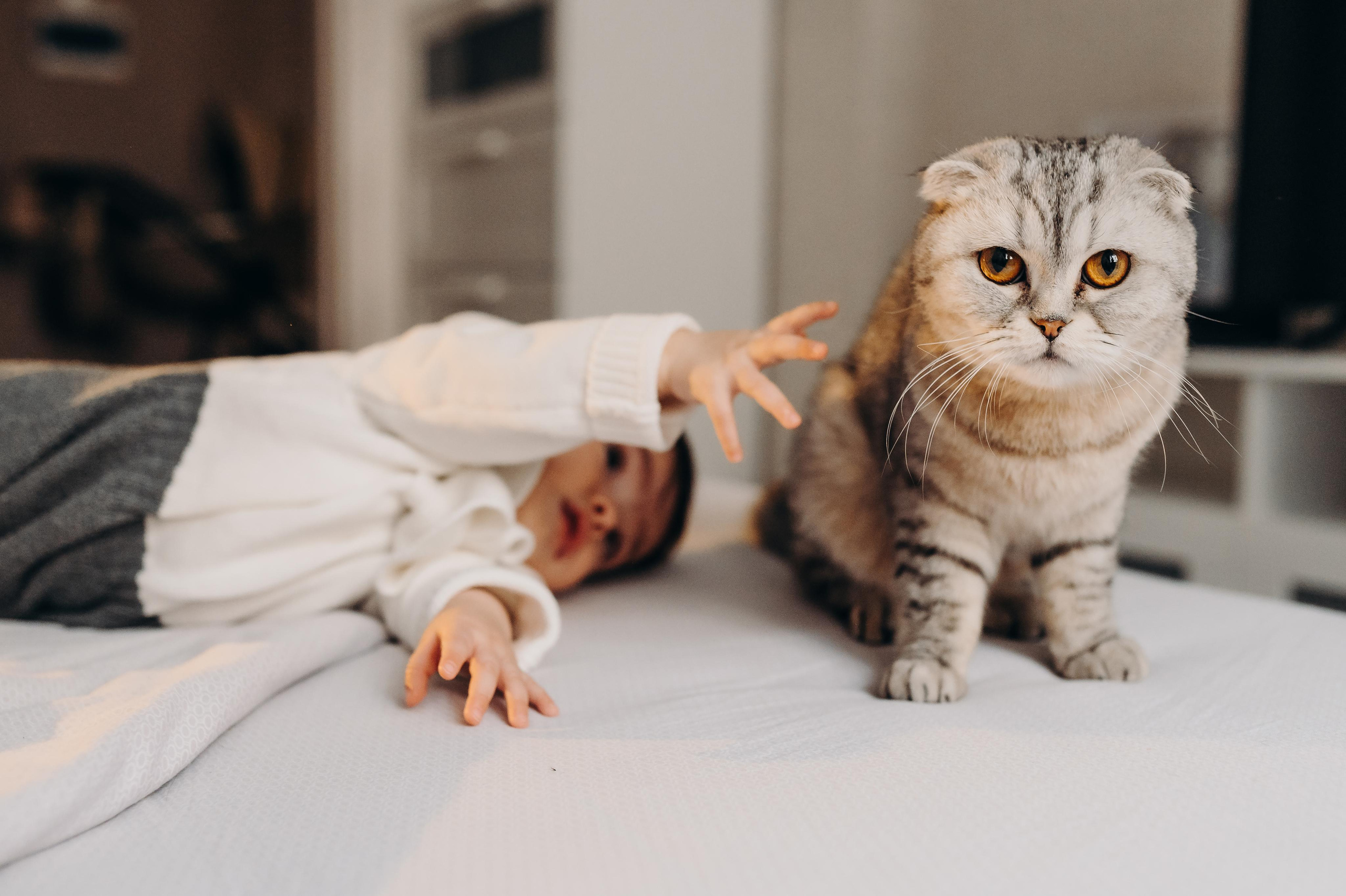 Пол года Аделине. Главная