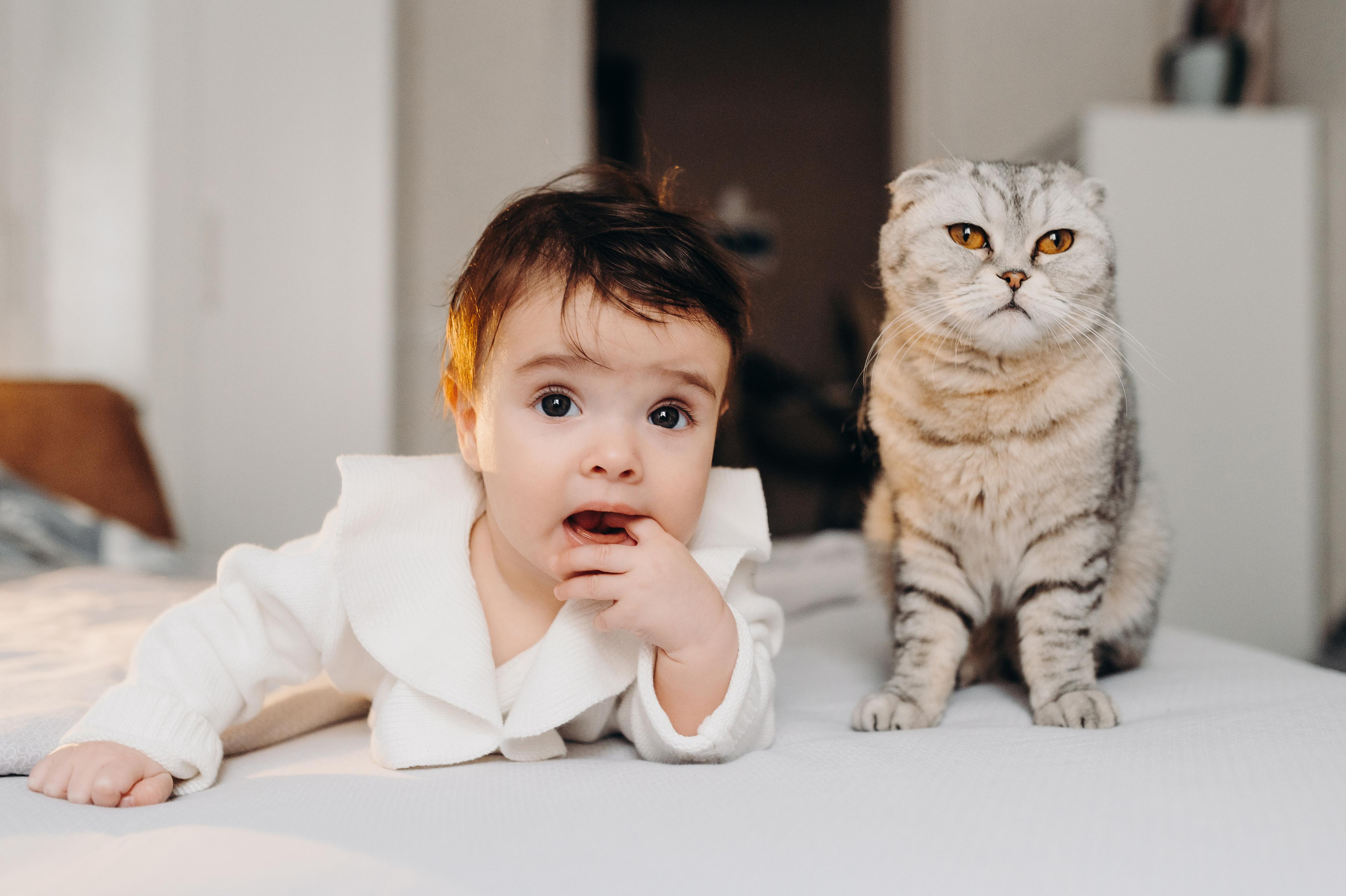 Пол года Аделине. Главная