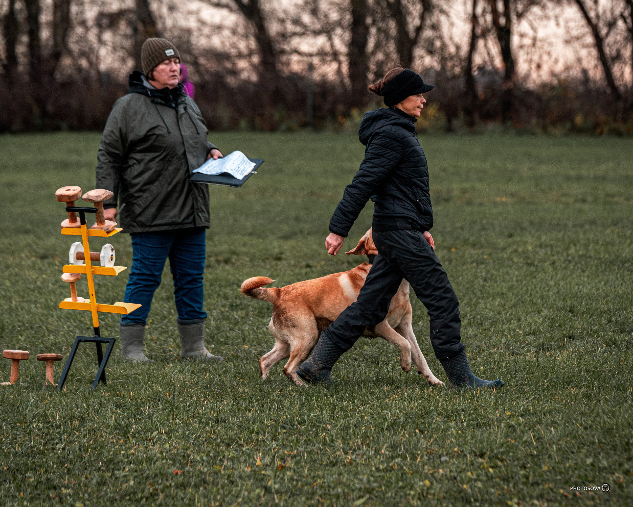 МЫ — КОМАНДА (соревнования) OKD, BH, IBGH, IGP. Фотограф-анималист, семейный фотограф в Москве и Подмосковье. Фотосъёмка кинологических дисциплин