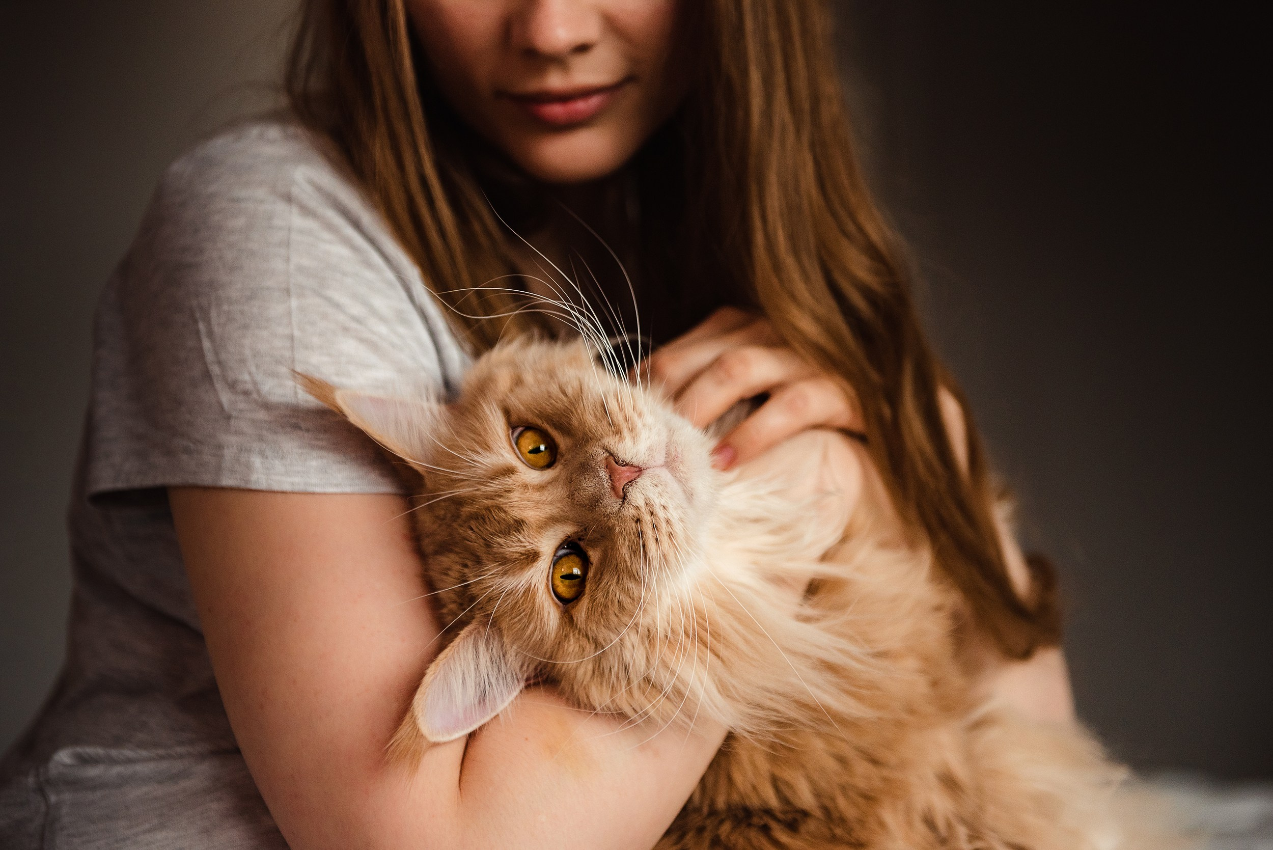 Алена, Виктор, Оливка и Ластик. Семейный Фотограф в Москве Ирина Хохлова