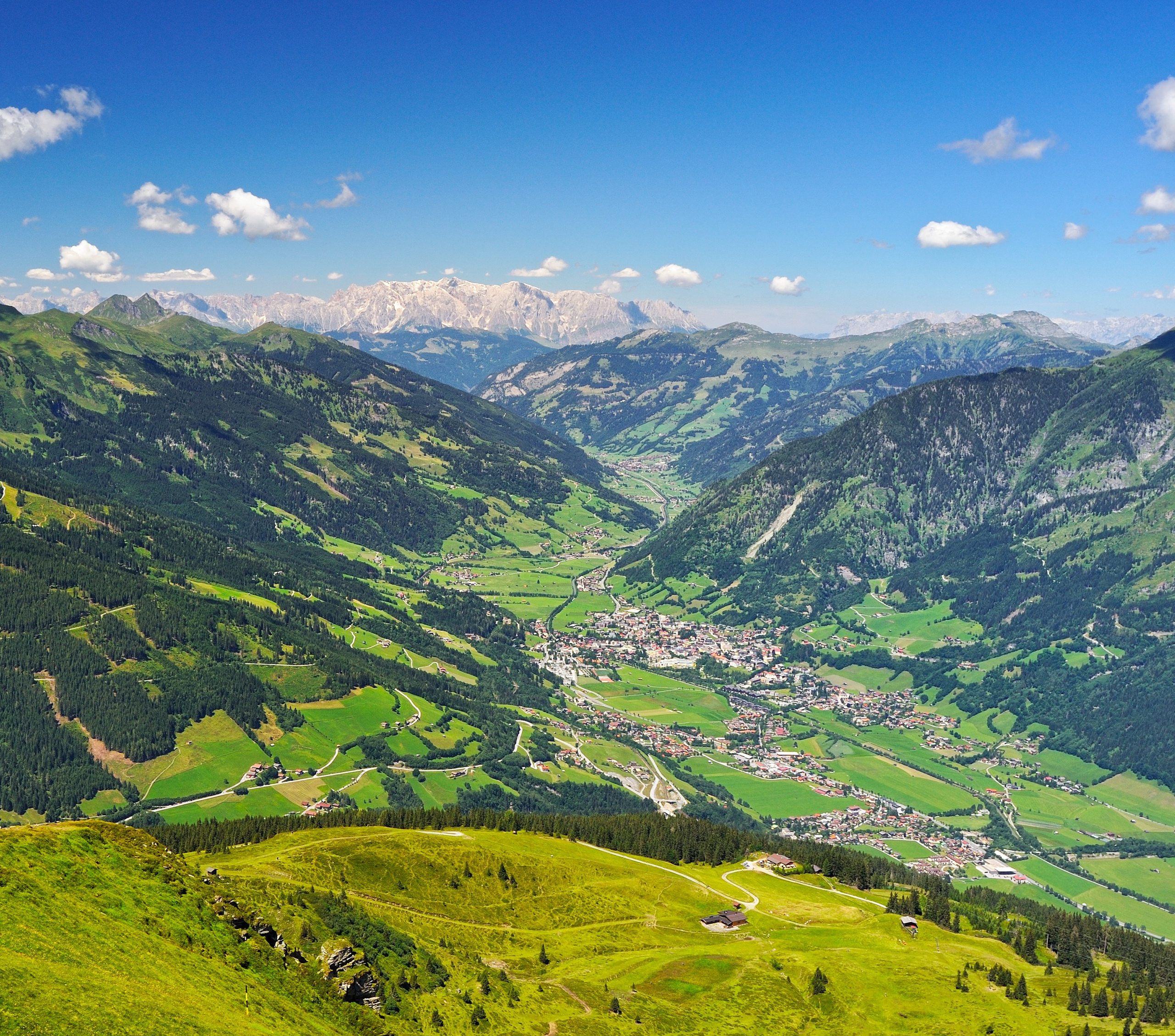 Лето. Пейзажный и предметный фотограф в Санкт-Петербурге Александр Богданов