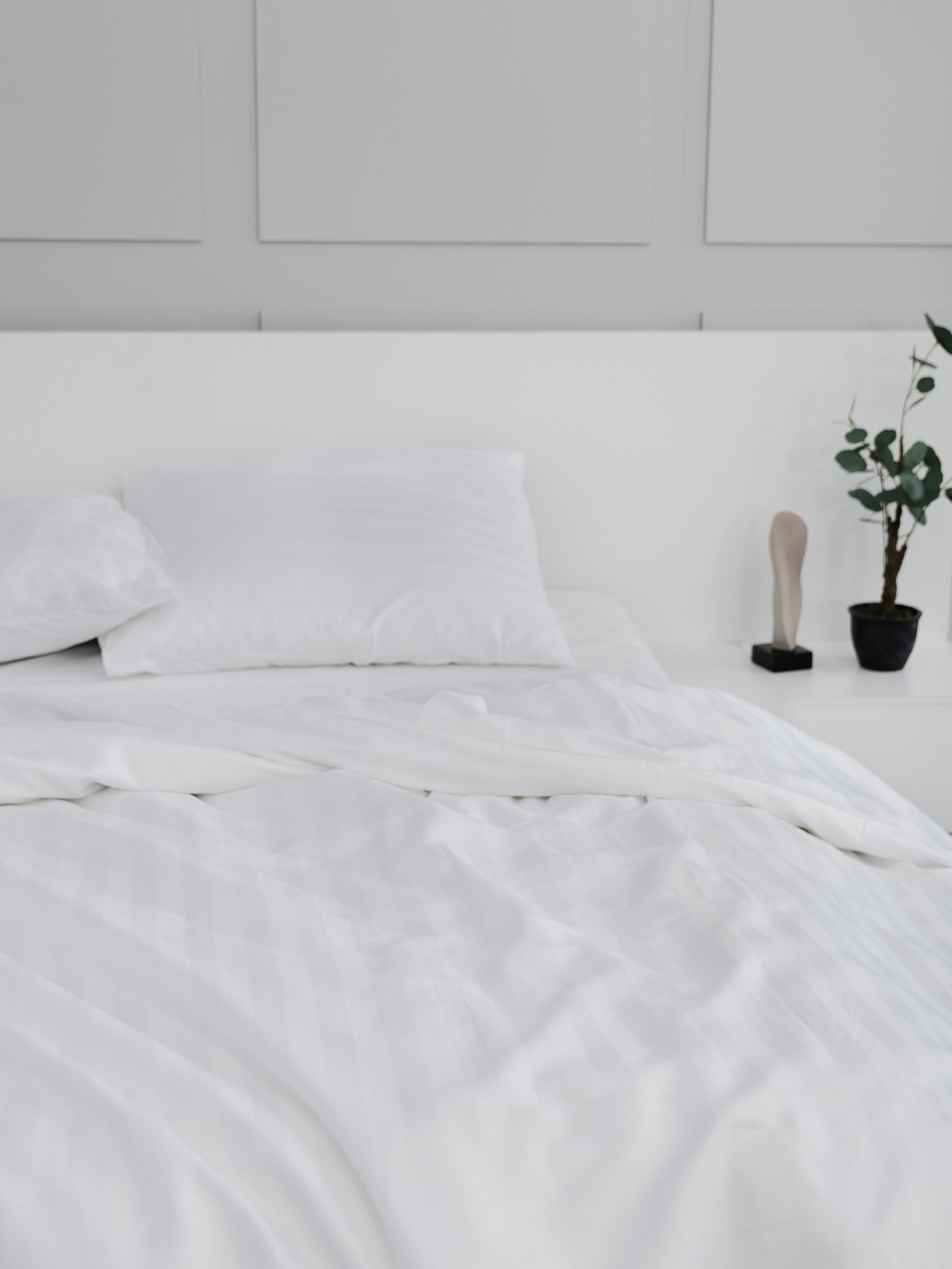 Студийная съёмка. Предметный фотограф Северова Екатерина | Профессиональная предметная съёмка фото и видео в Санкт-Петербурге