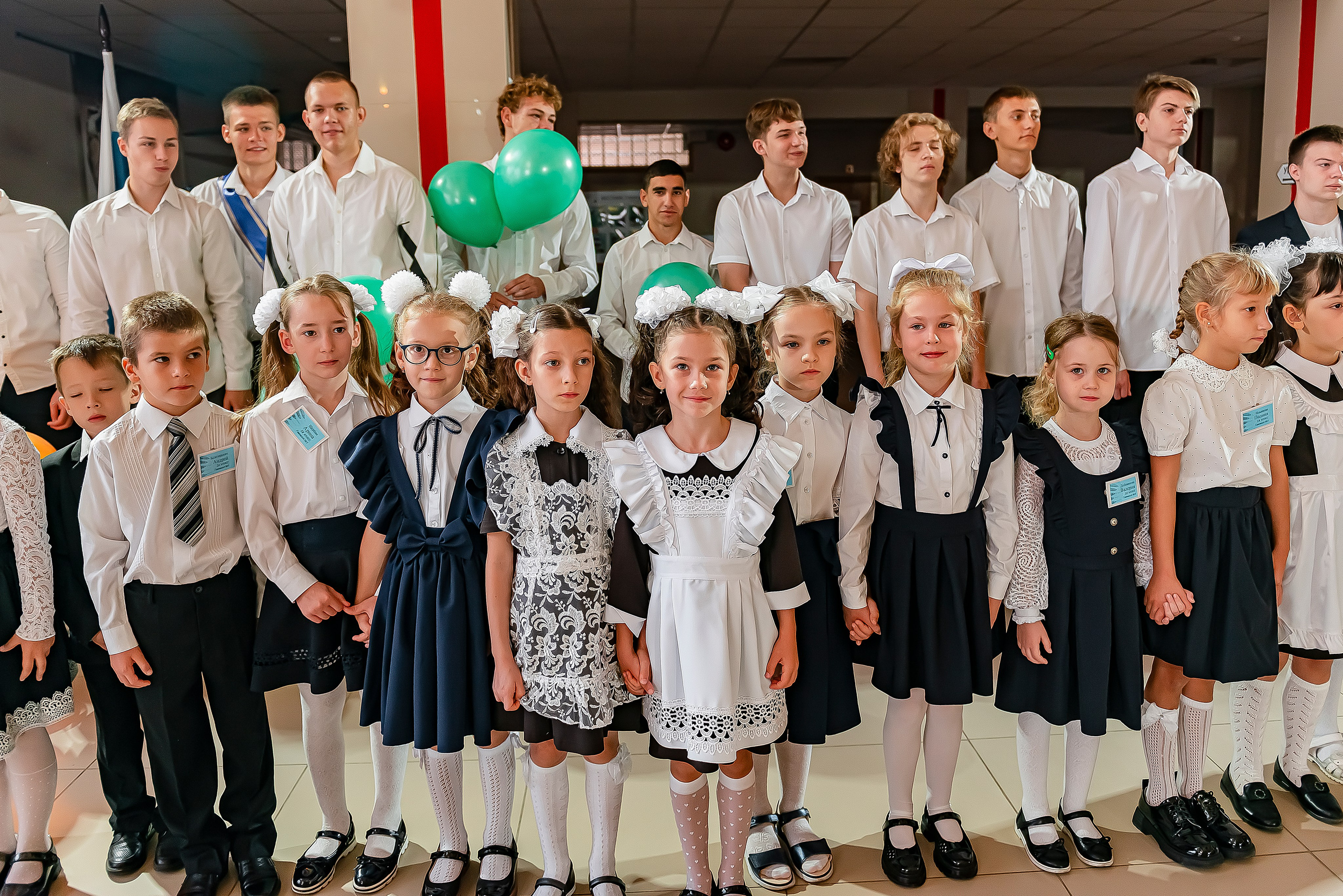 1 «В» | Гимназия № 3| г. Белгород |2024. ALBUMIA