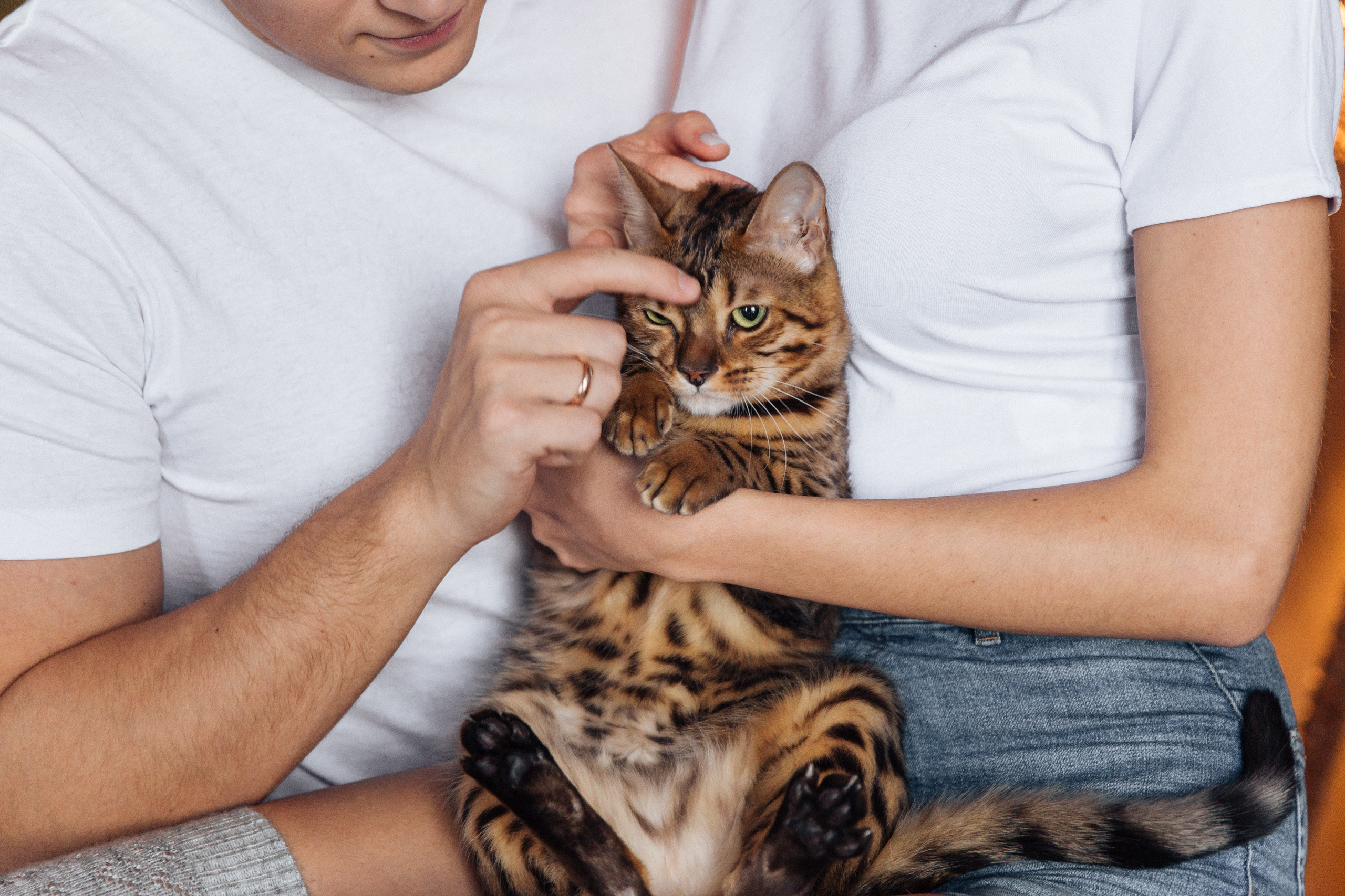 EKATERINA & NIKOLAY. Фотограф в Сочи, Санкт-Петербурге, Москве, Италии, Франции, Черног
