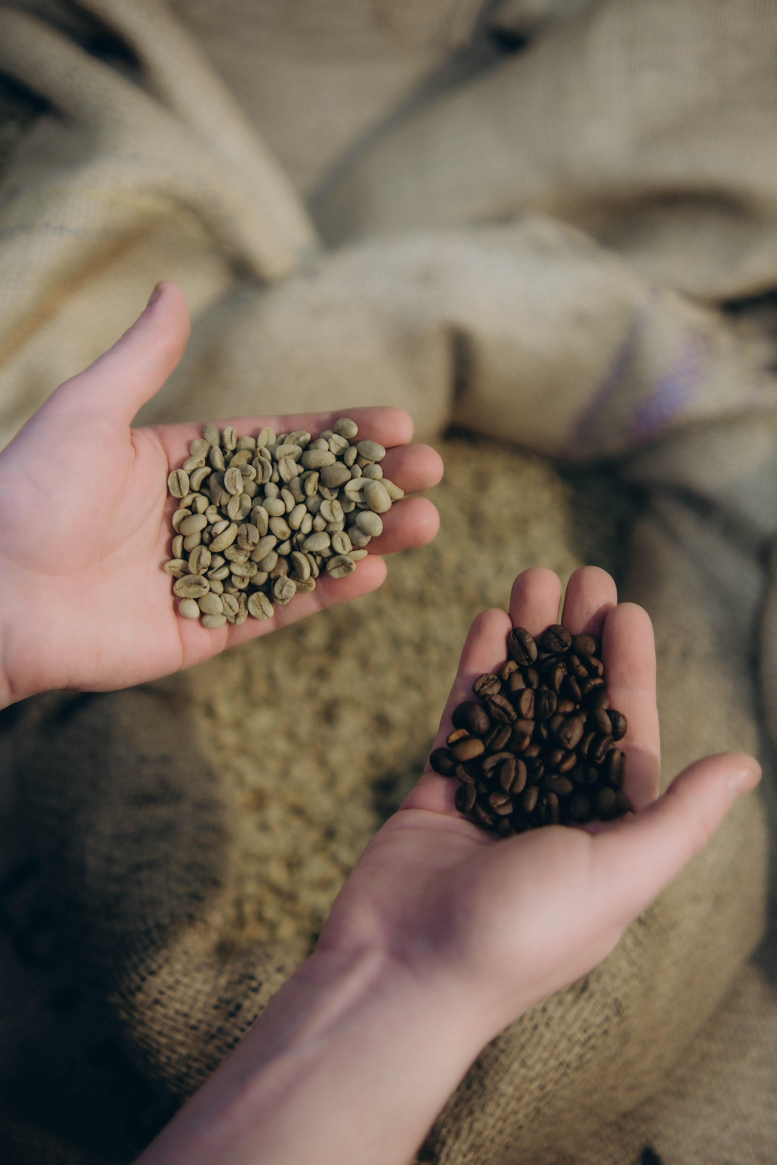 Компания Кофеони. Главная