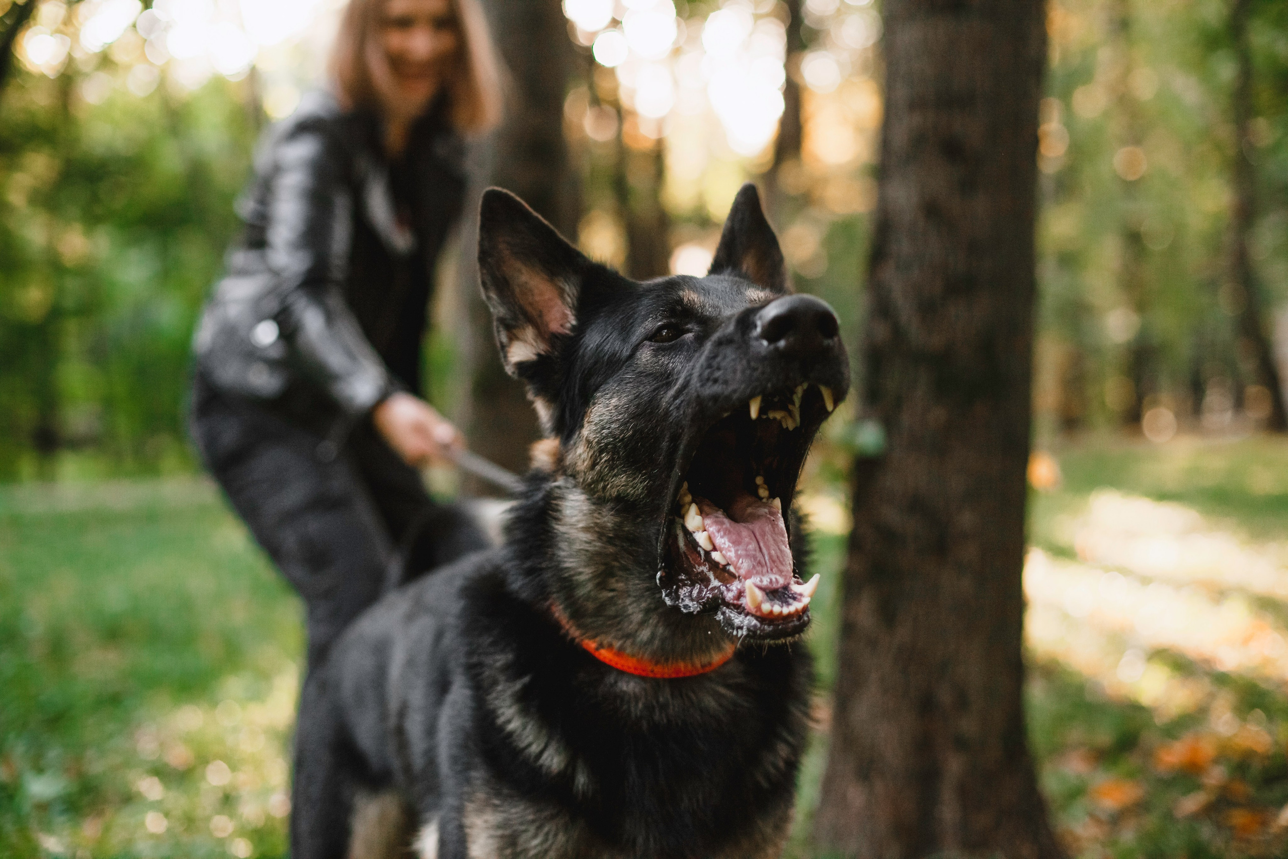 Илай. Фотограф-анималист Татьяна Степанова