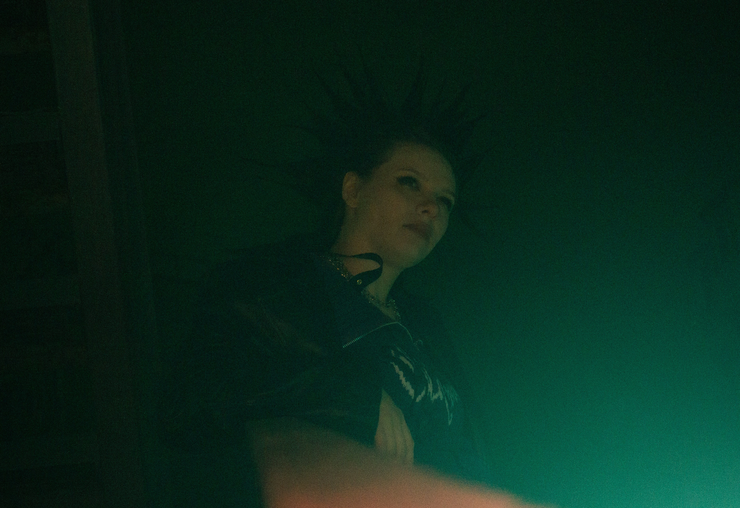 Гошок жив?. Костенко Анна pdie